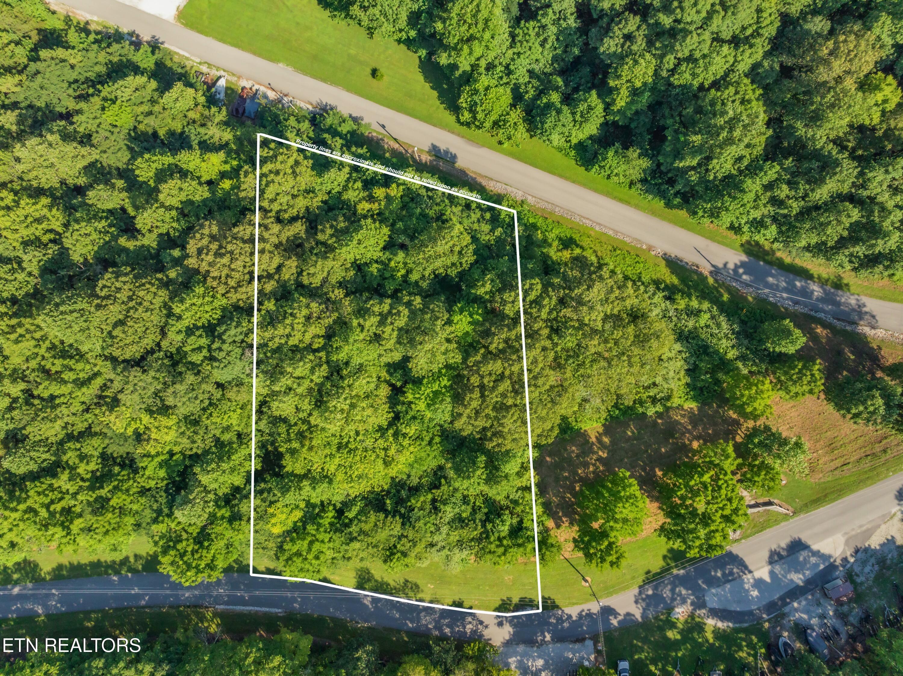 Norris Lake Real Estate - Image# 17