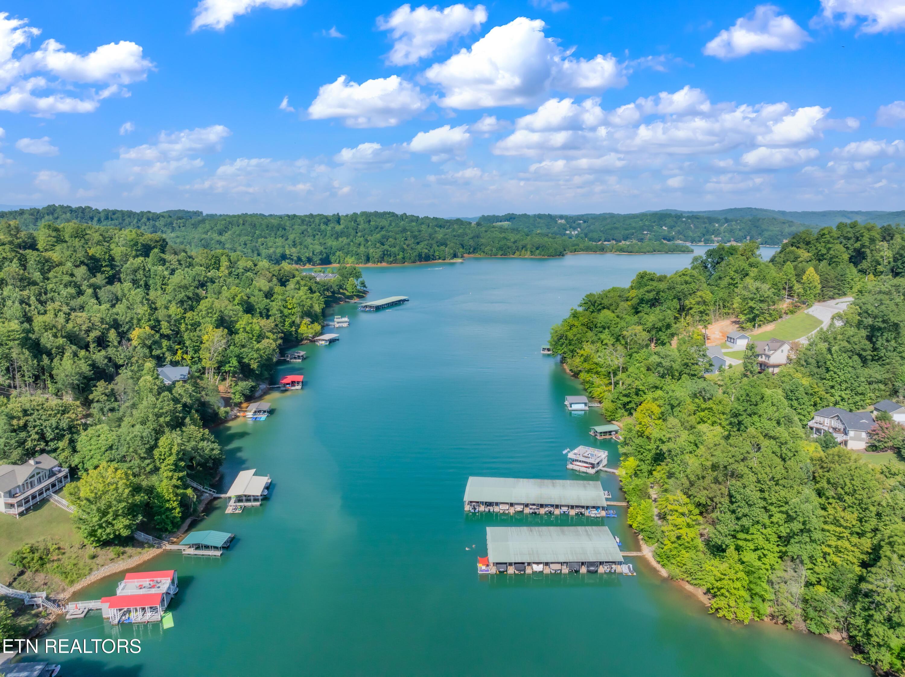 Norris Lake Real Estate - Image# 23