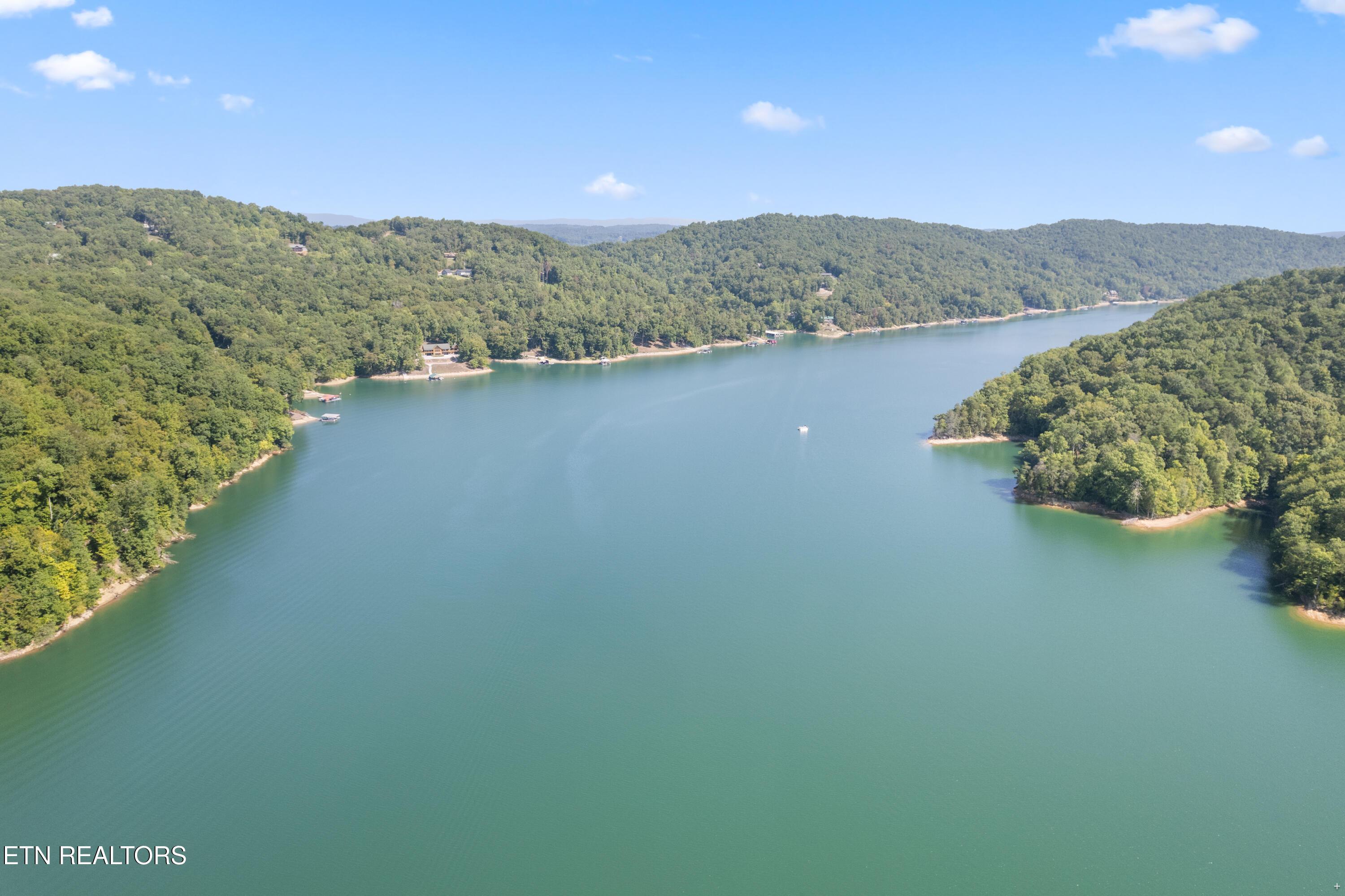 Norris Lake Real Estate - Image# 5