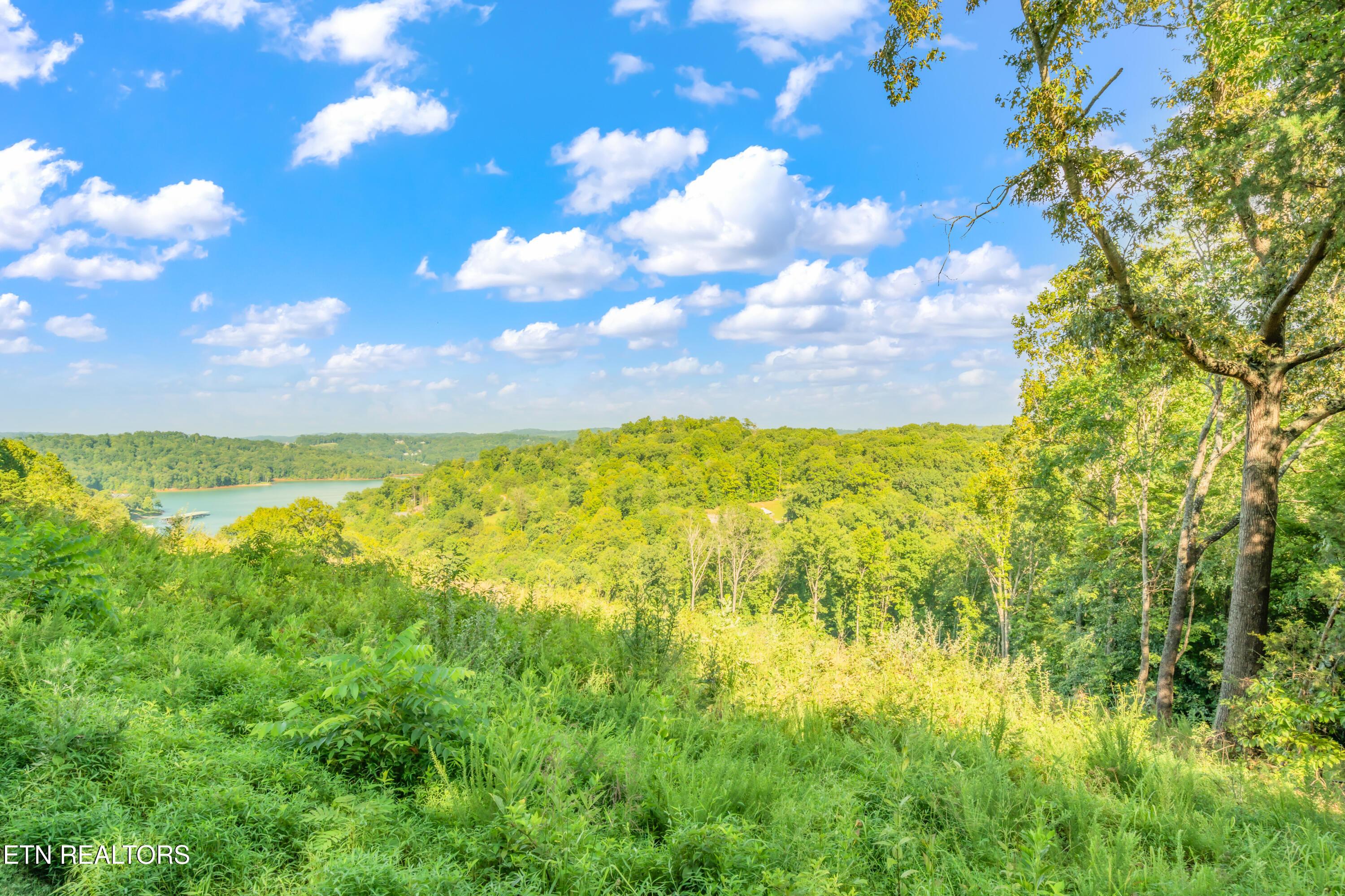 Norris Lake Real Estate - Image# 5