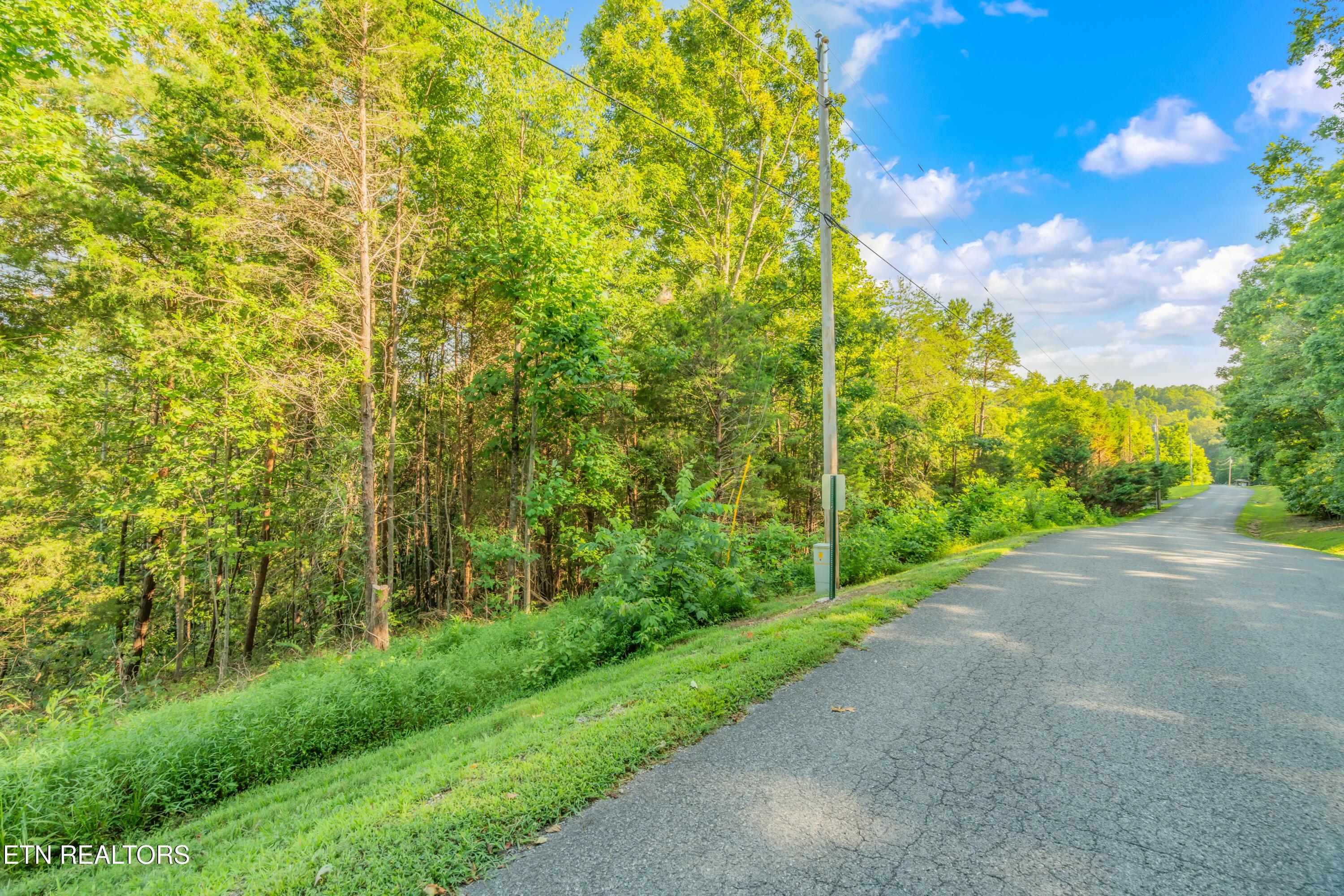 Norris Lake Real Estate - Image# 3