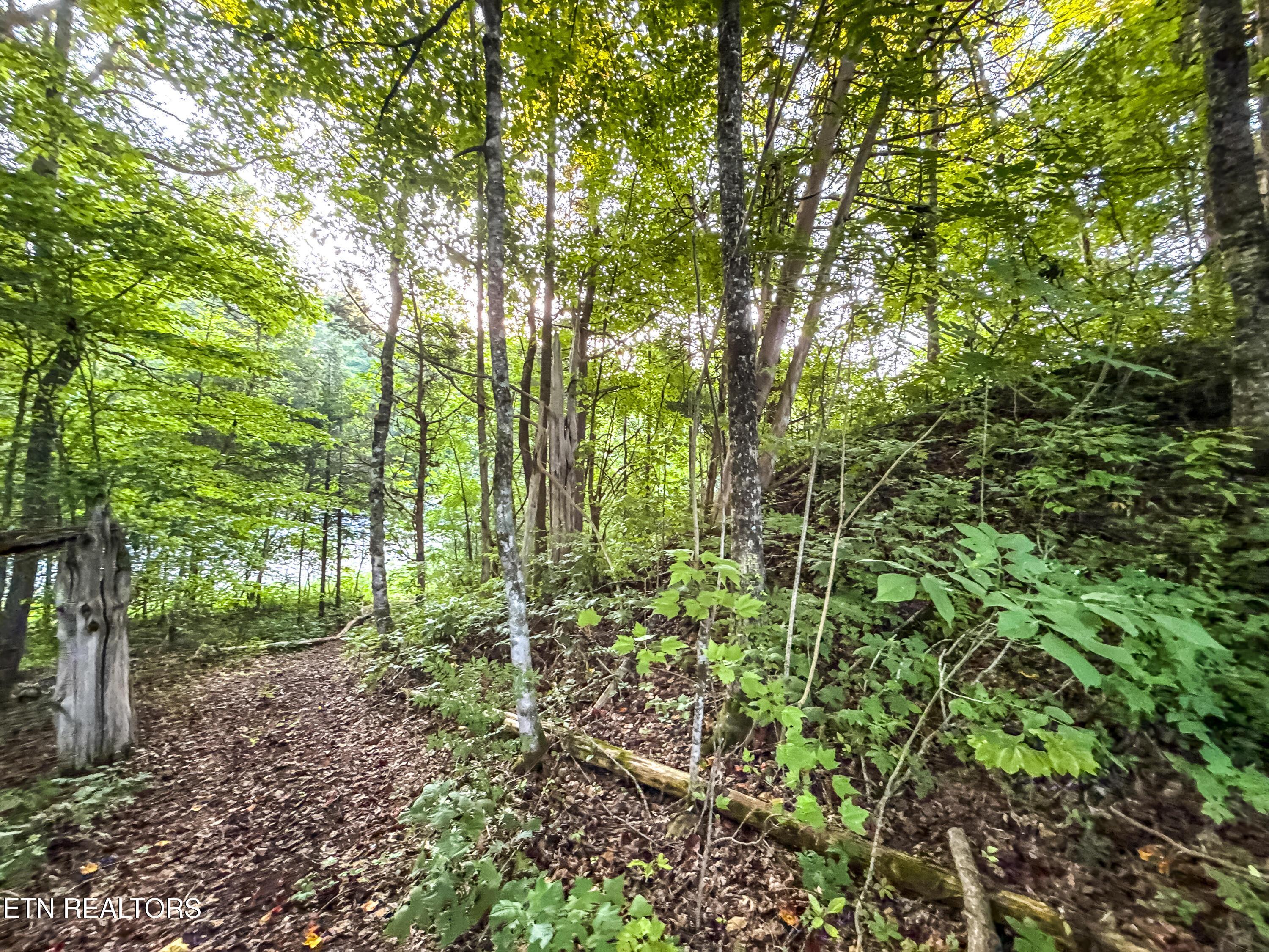 Helms Ferry Rd, Sharps Chapel, TN - Norris Lake Real Estate - Image# 24