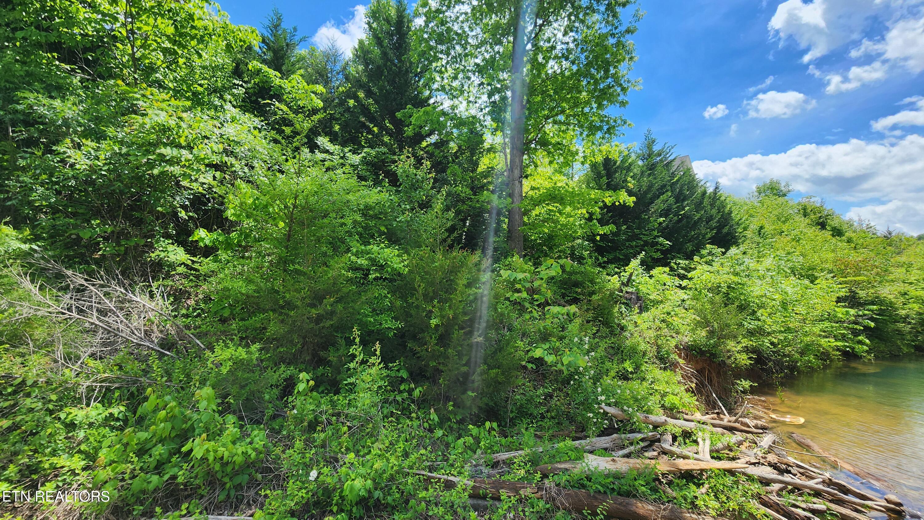 Lot 19 Cameron Loop, Lafollette, TN - Norris Lake Real Estate - Image# 11
