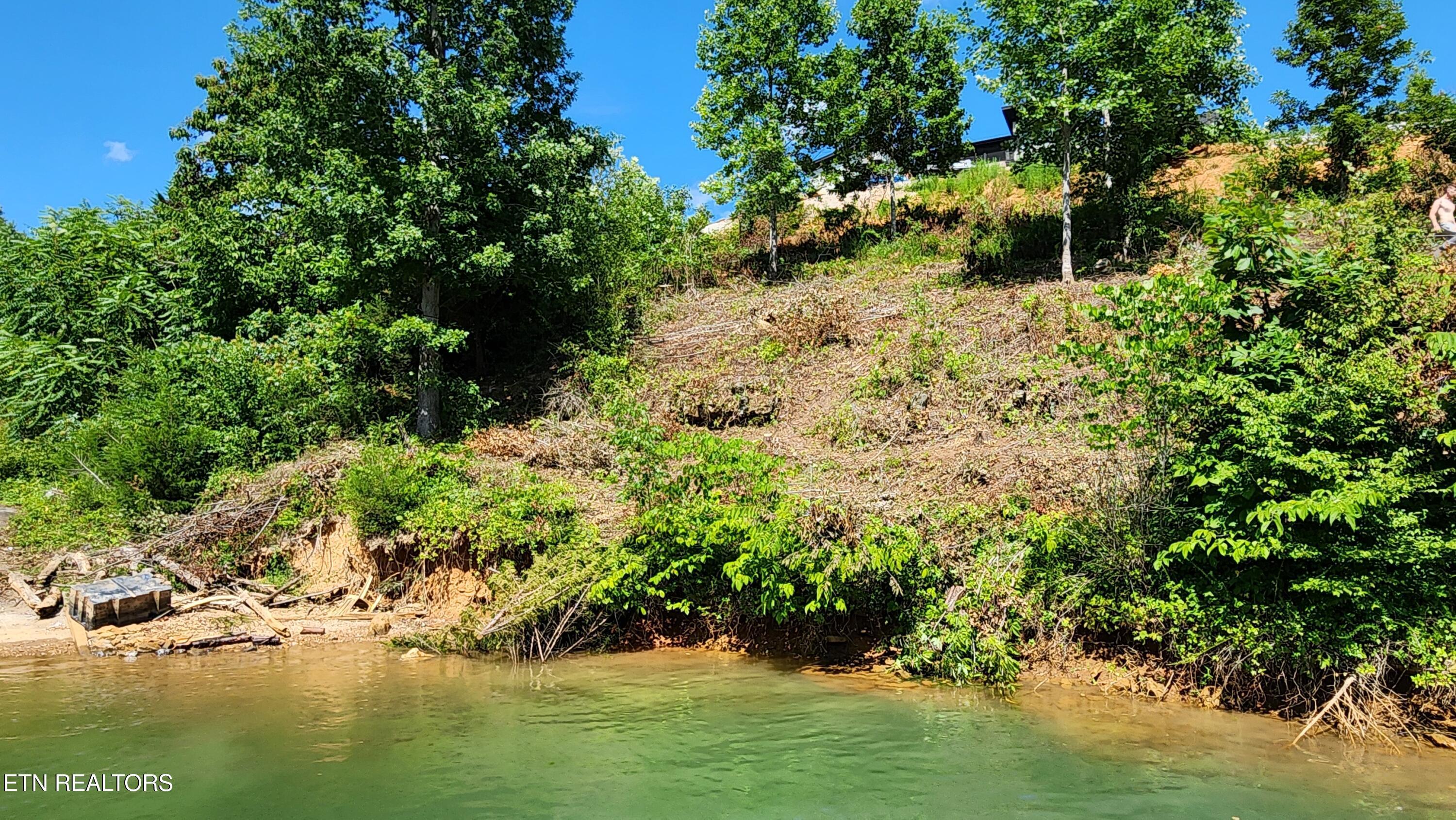 Lot 19 Cameron Loop, Lafollette, TN - Norris Lake Real Estate - Image# 7