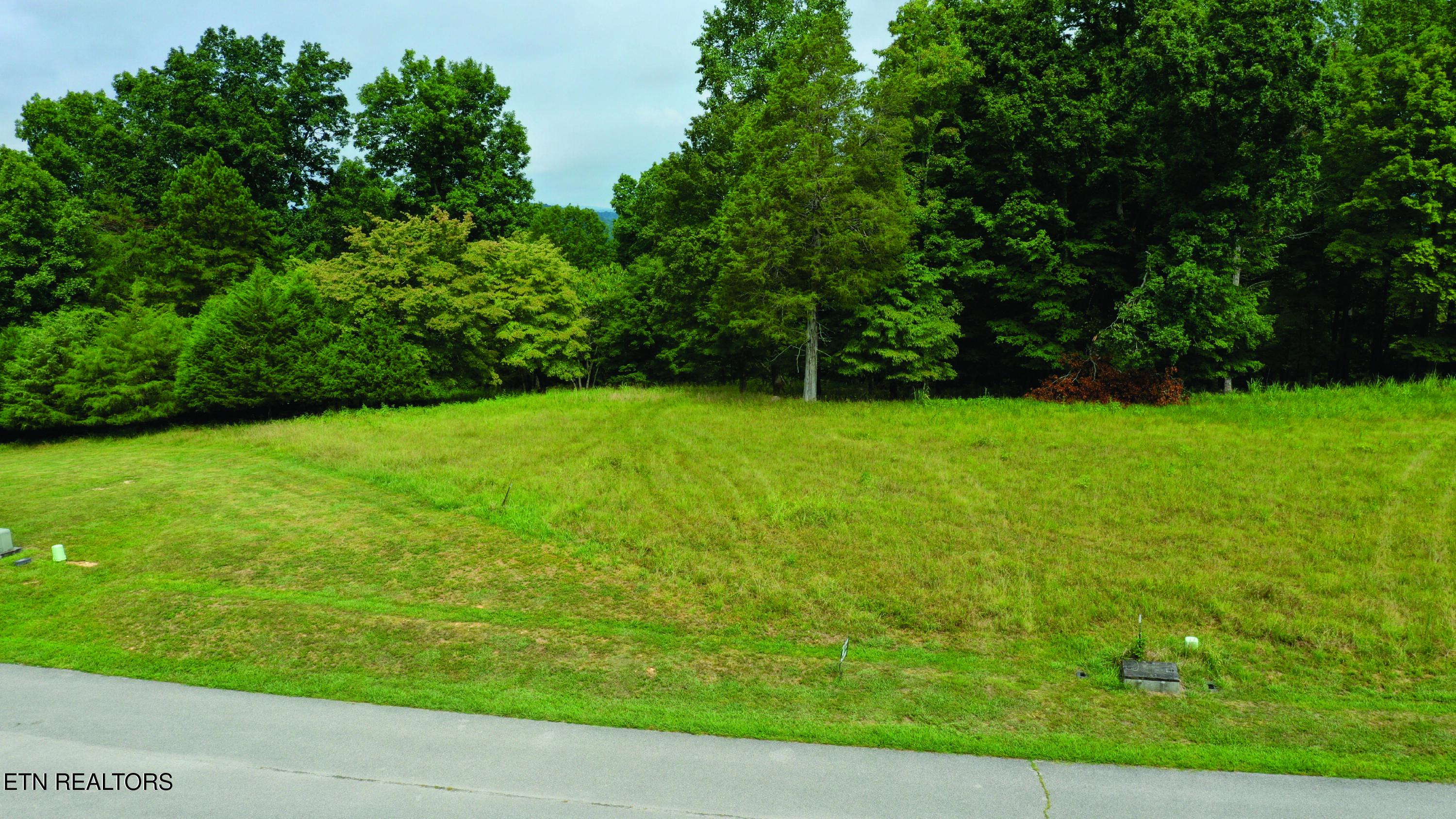 Norris Lake Real Estate - Image# 2