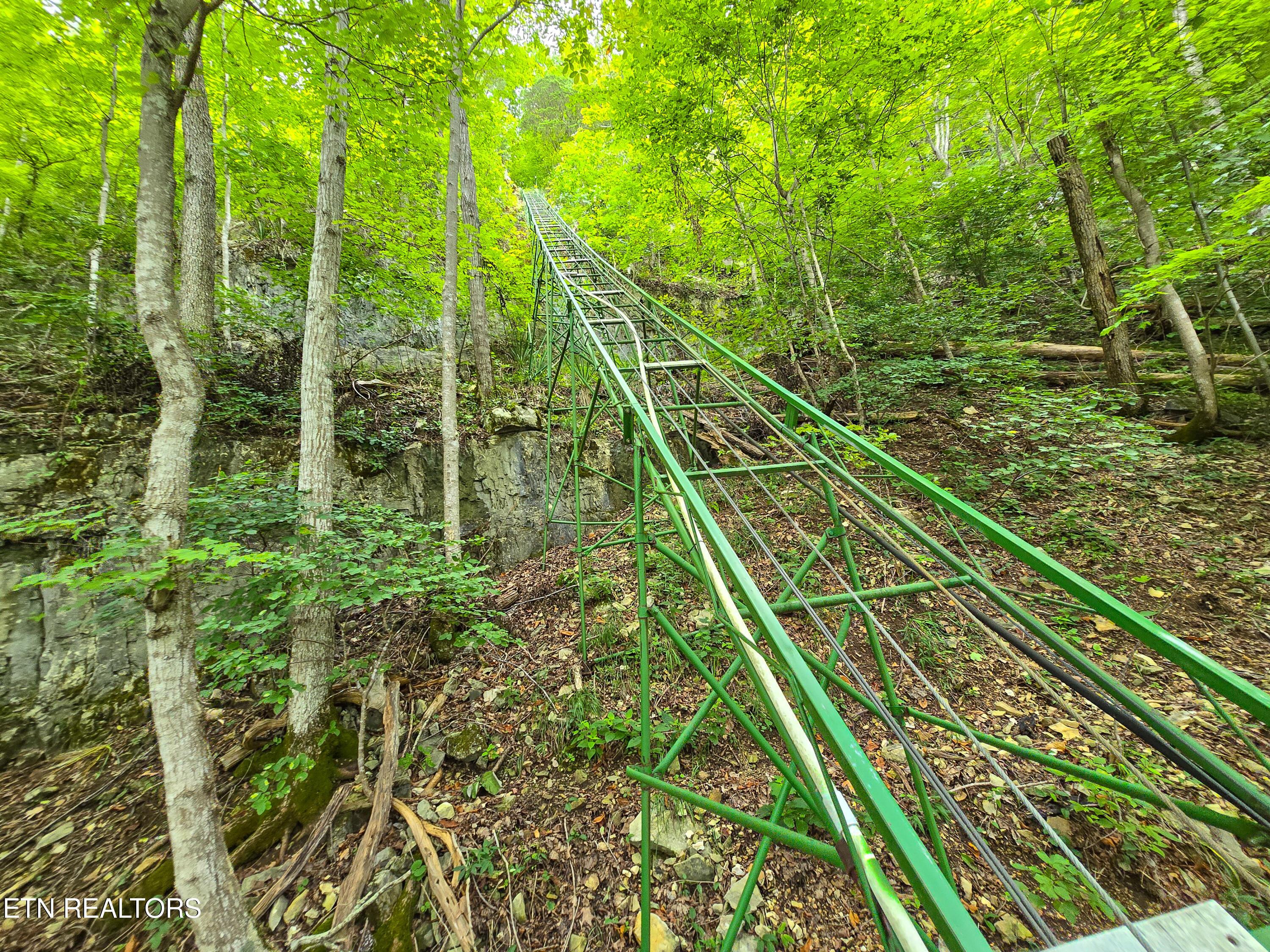 Norris Lake Real Estate - Image# 54