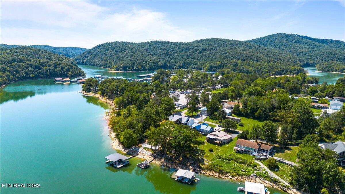 Norris Lake Real Estate - Image# 46