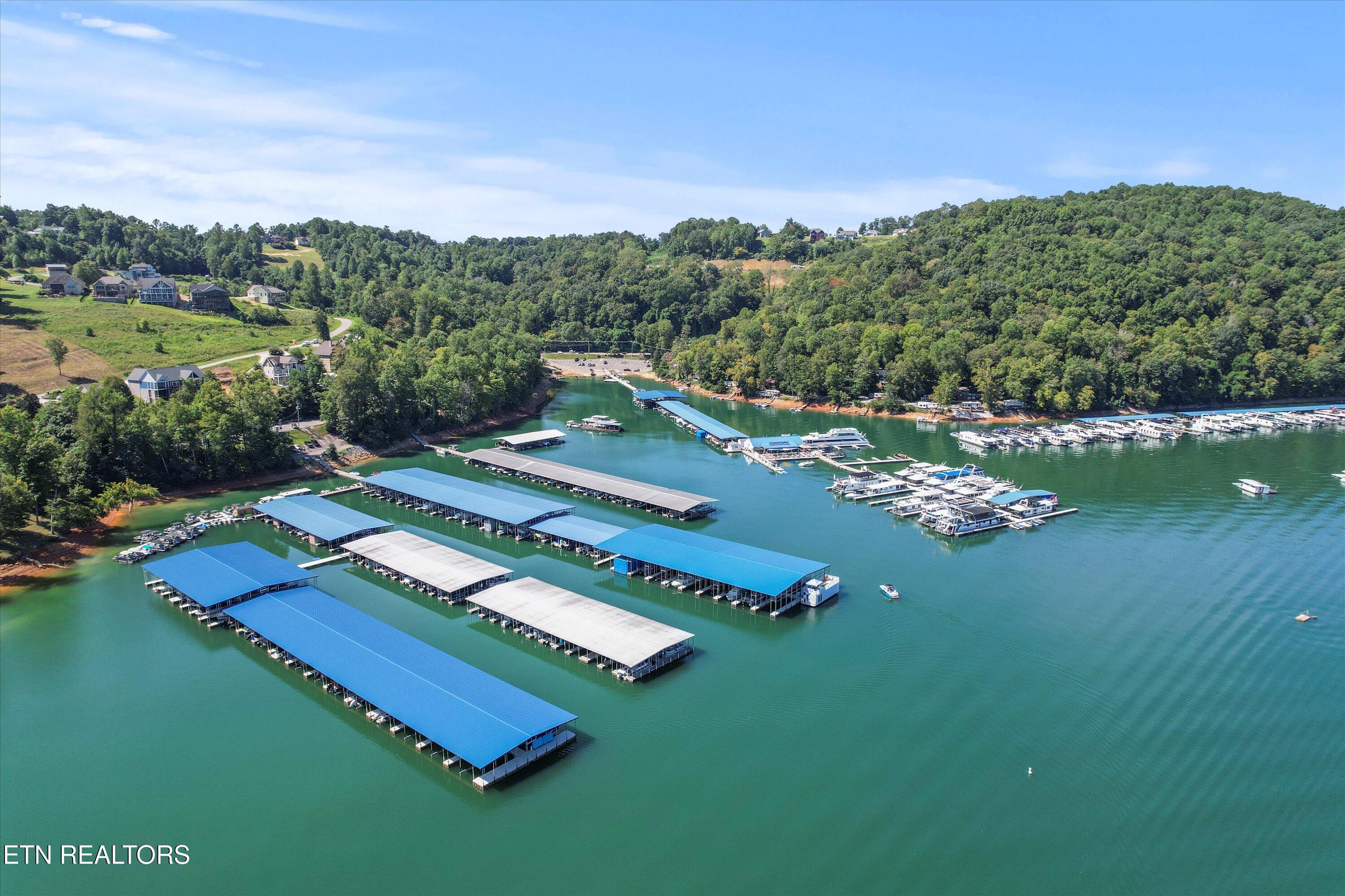 Norris Lake Real Estate - Image# 51