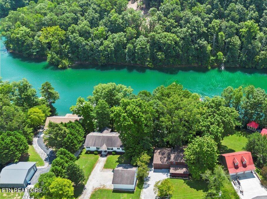 Norris Lake Real Estate - Image# 3