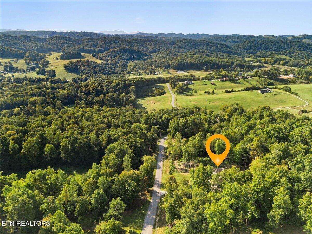 449 Hickory Pointe Ln, Maynardville, TN - Norris Lake Real Estate - Image# 50