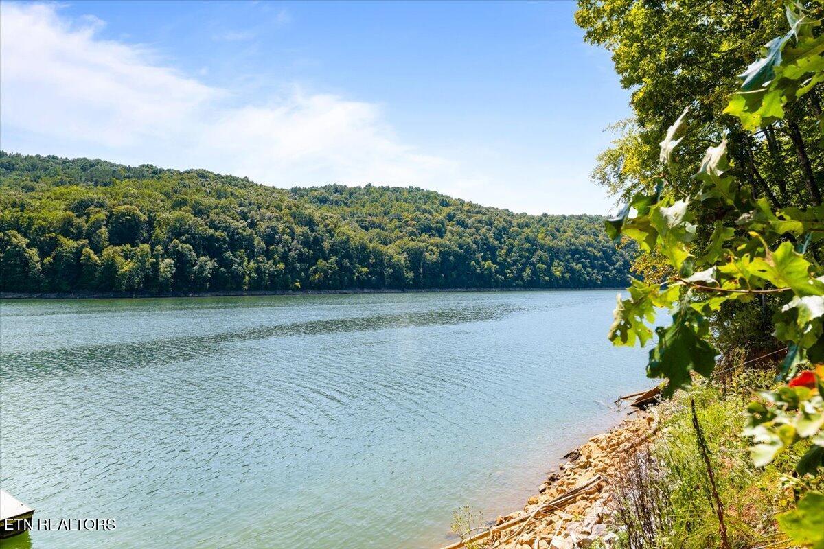 Norris Lake Real Estate - Image# 58