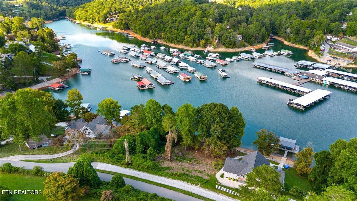 Lakesprings Drive, Lafollette, TN - Norris Lake Real Estate - Image# 7