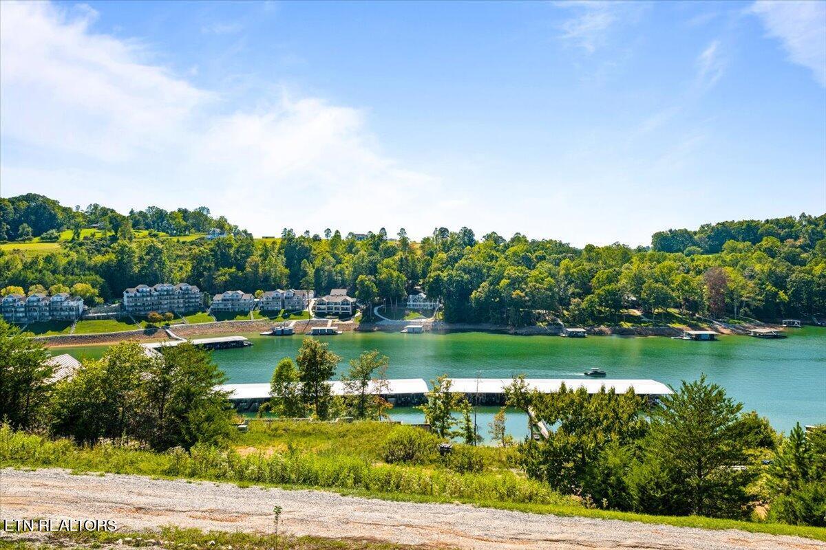 195 N Deer Village Lane, Lafollette, TN - Norris Lake Real Estate - Image# 3