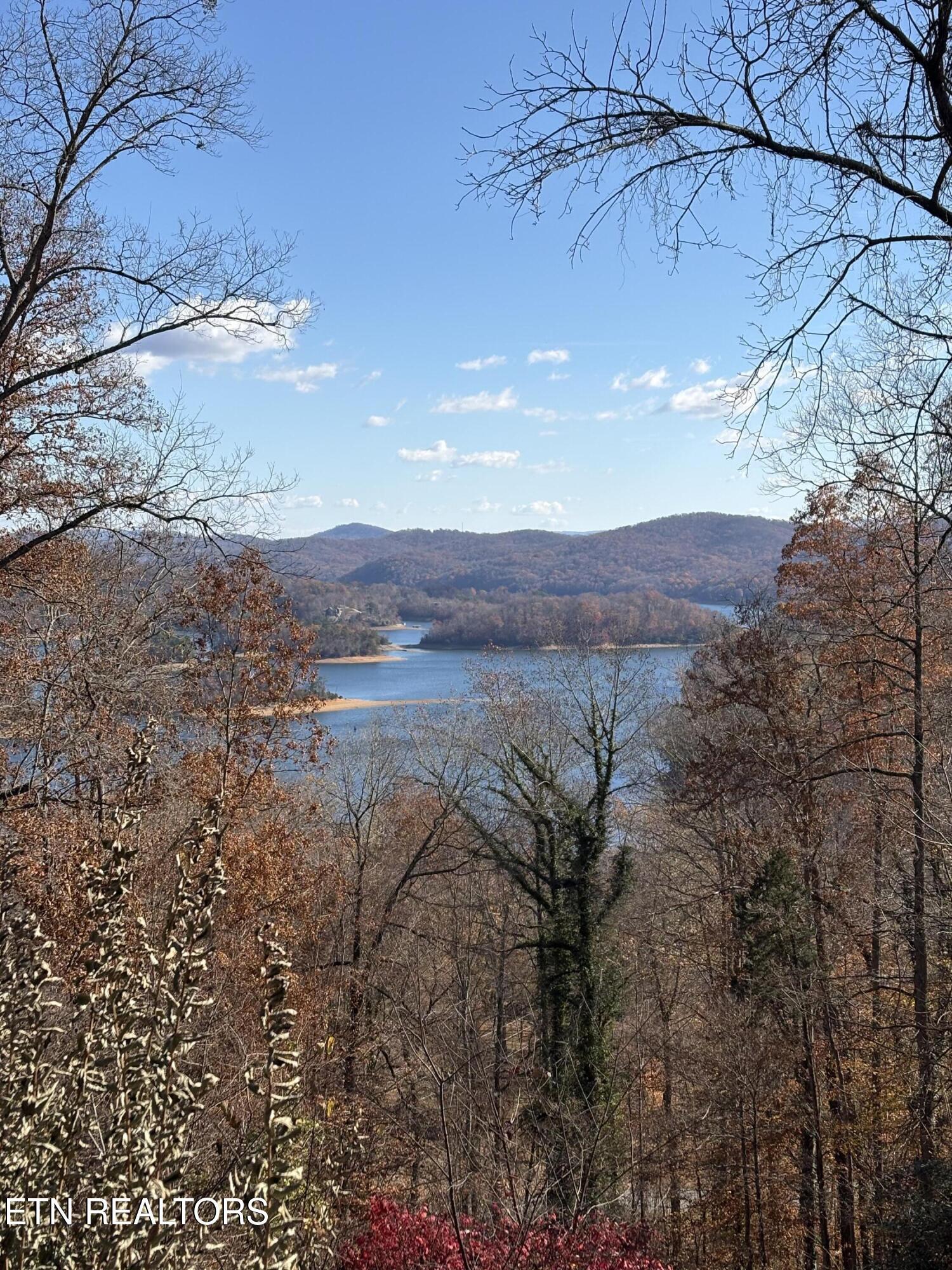 1130 Lakeview Drive, Sharps Chapel, TN - Norris Lake Real Estate - Image# 61