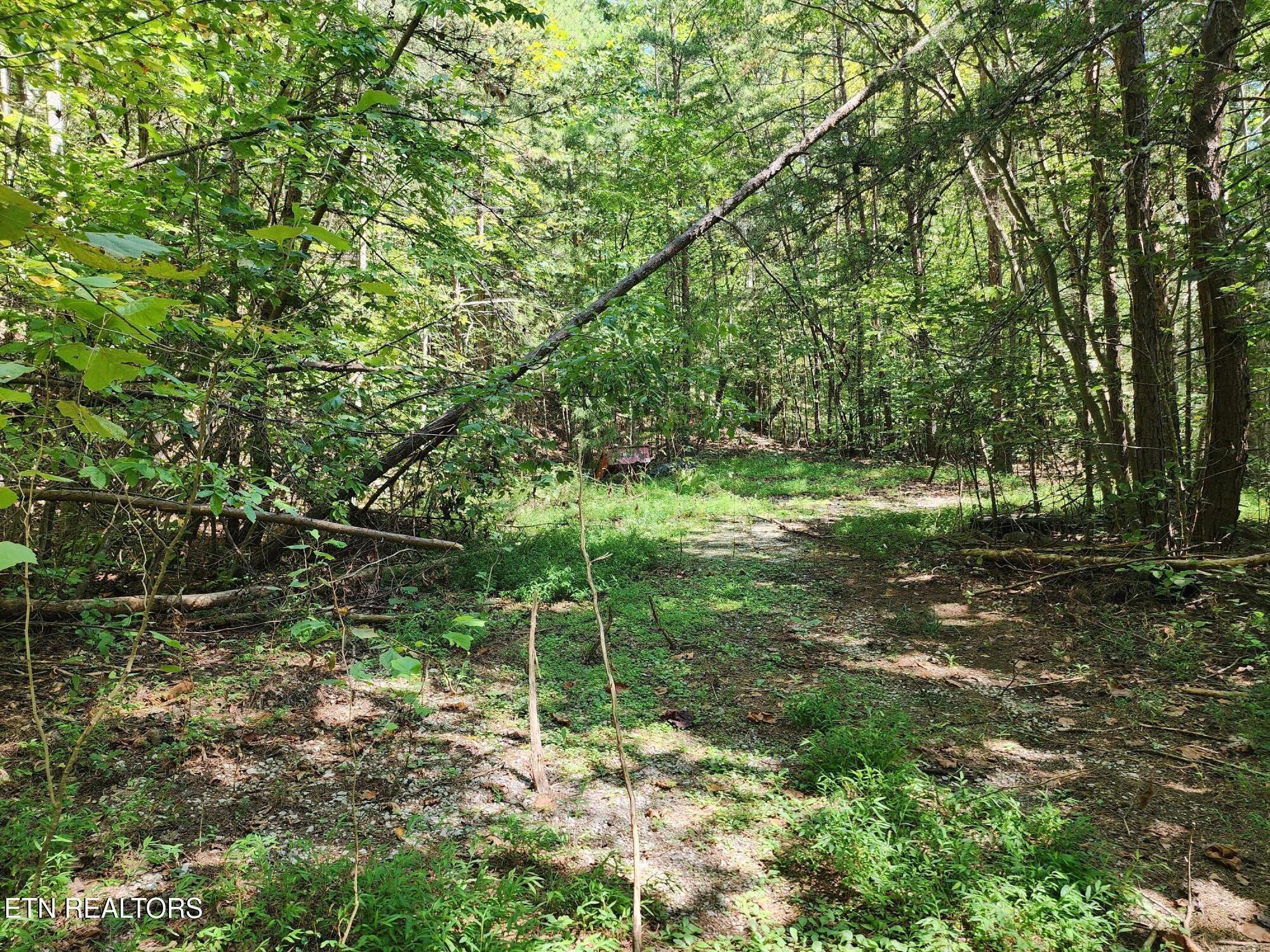 Timber Ridge Rd, Sharps Chapel, TN - Norris Lake Real Estate - Image# 4