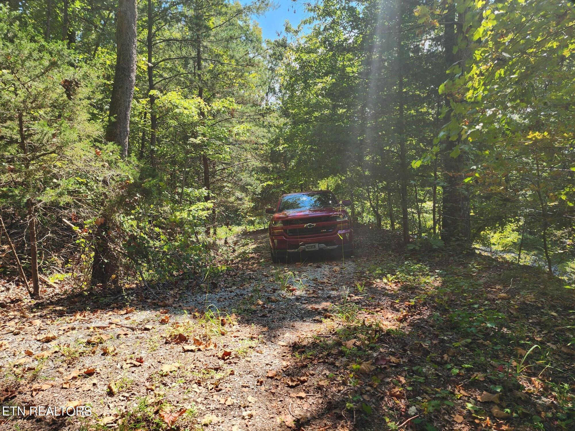 Timber Ridge Rd, Sharps Chapel, TN - Norris Lake Real Estate - Image# 2
