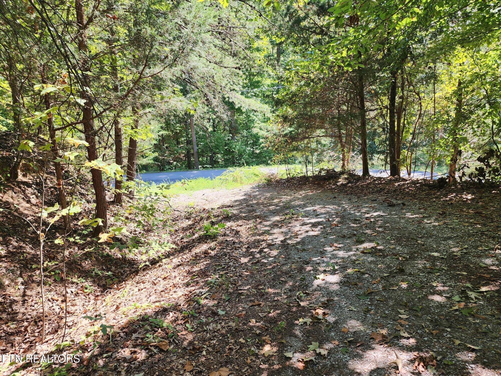 Timber Ridge Rd, Sharps Chapel, TN - Norris Lake Real Estate - Image# 1