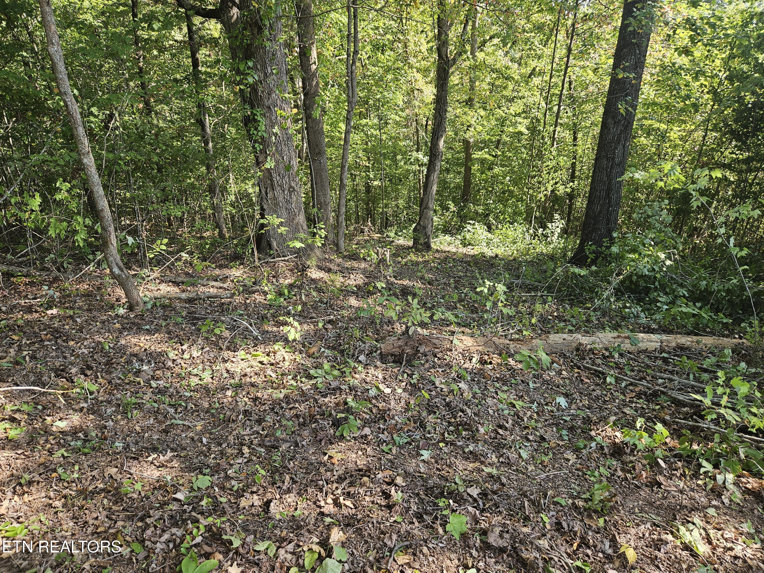 Lot172&173 Saddleridge Drive, Speedwell, TN - Norris Lake Real Estate - Image# 5