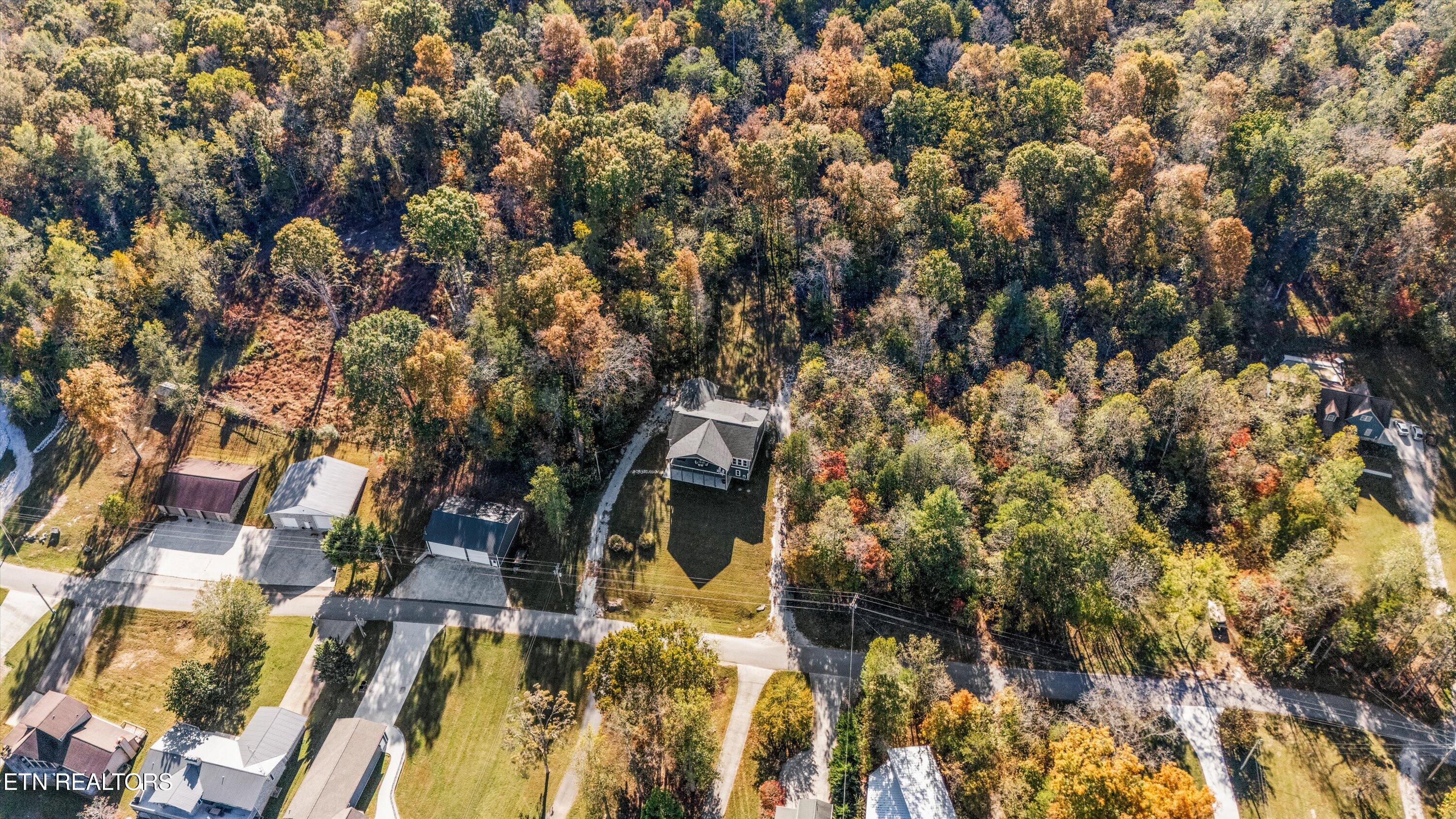 Norris Lake Real Estate - Image# 8