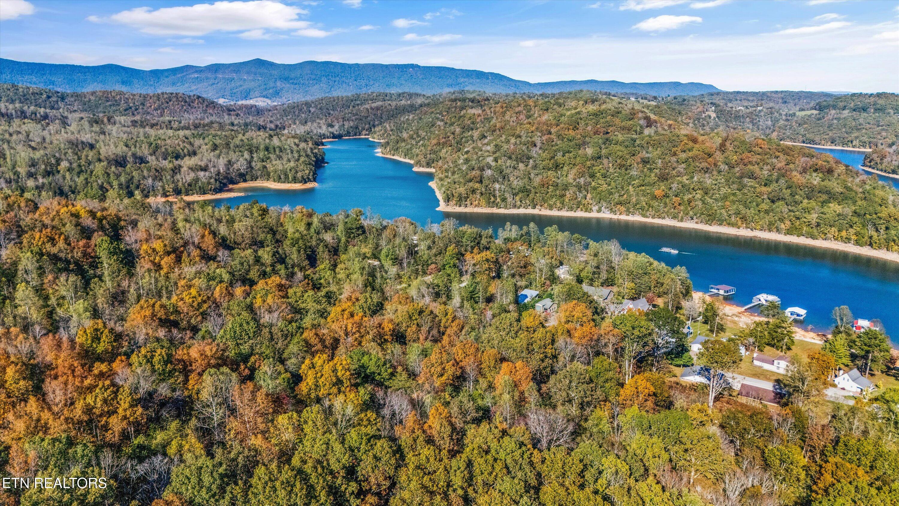 Norris Lake Real Estate - Image# 45