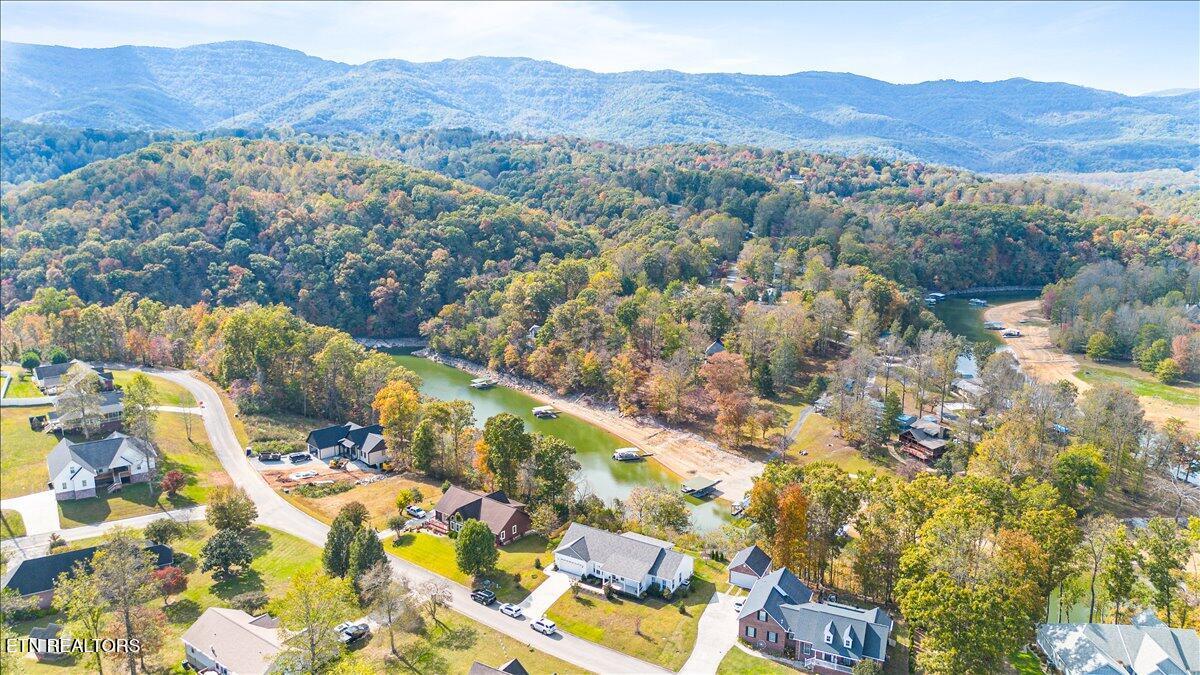 Norris Lake Real Estate - Image# 23