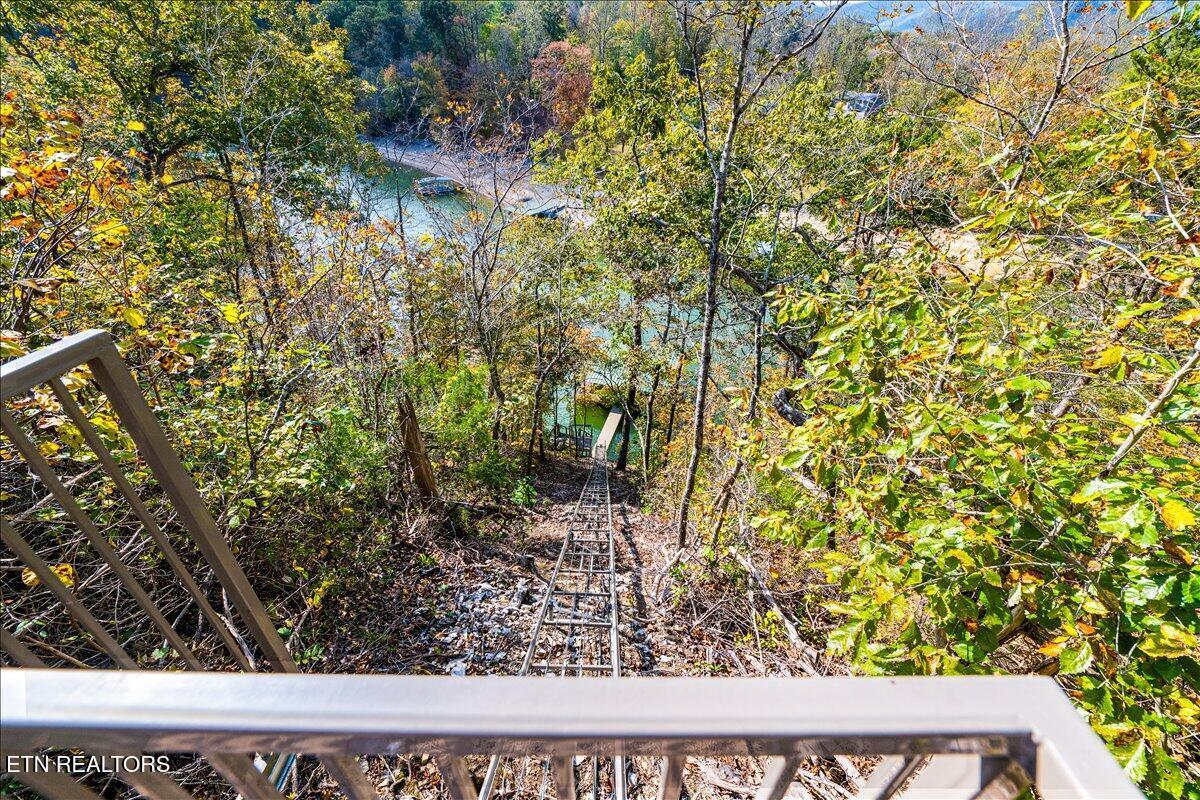 Norris Lake Real Estate - Image# 3