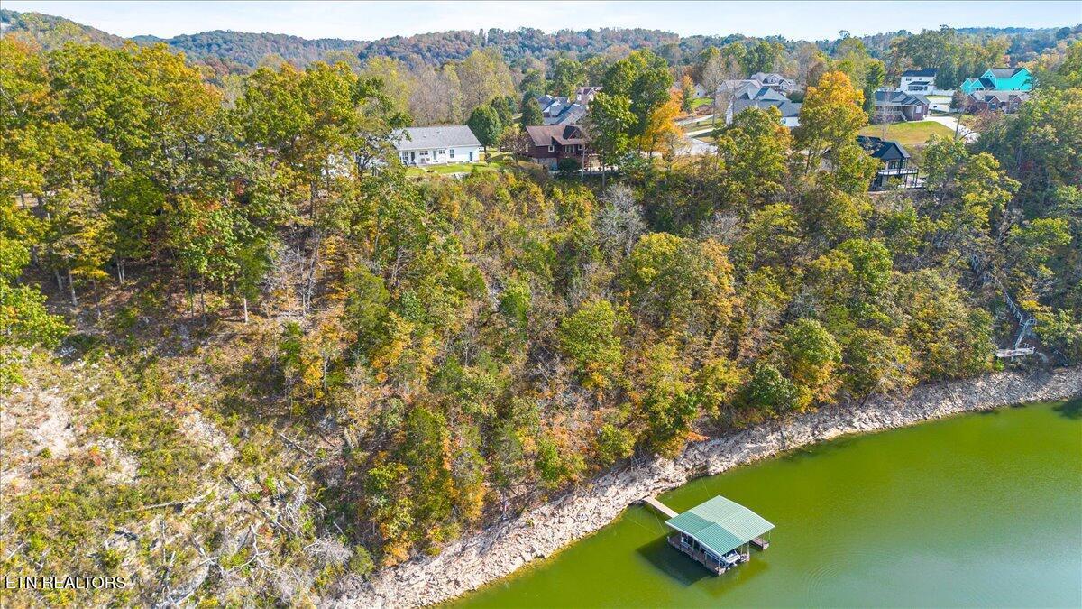 Norris Lake Real Estate - Image# 44