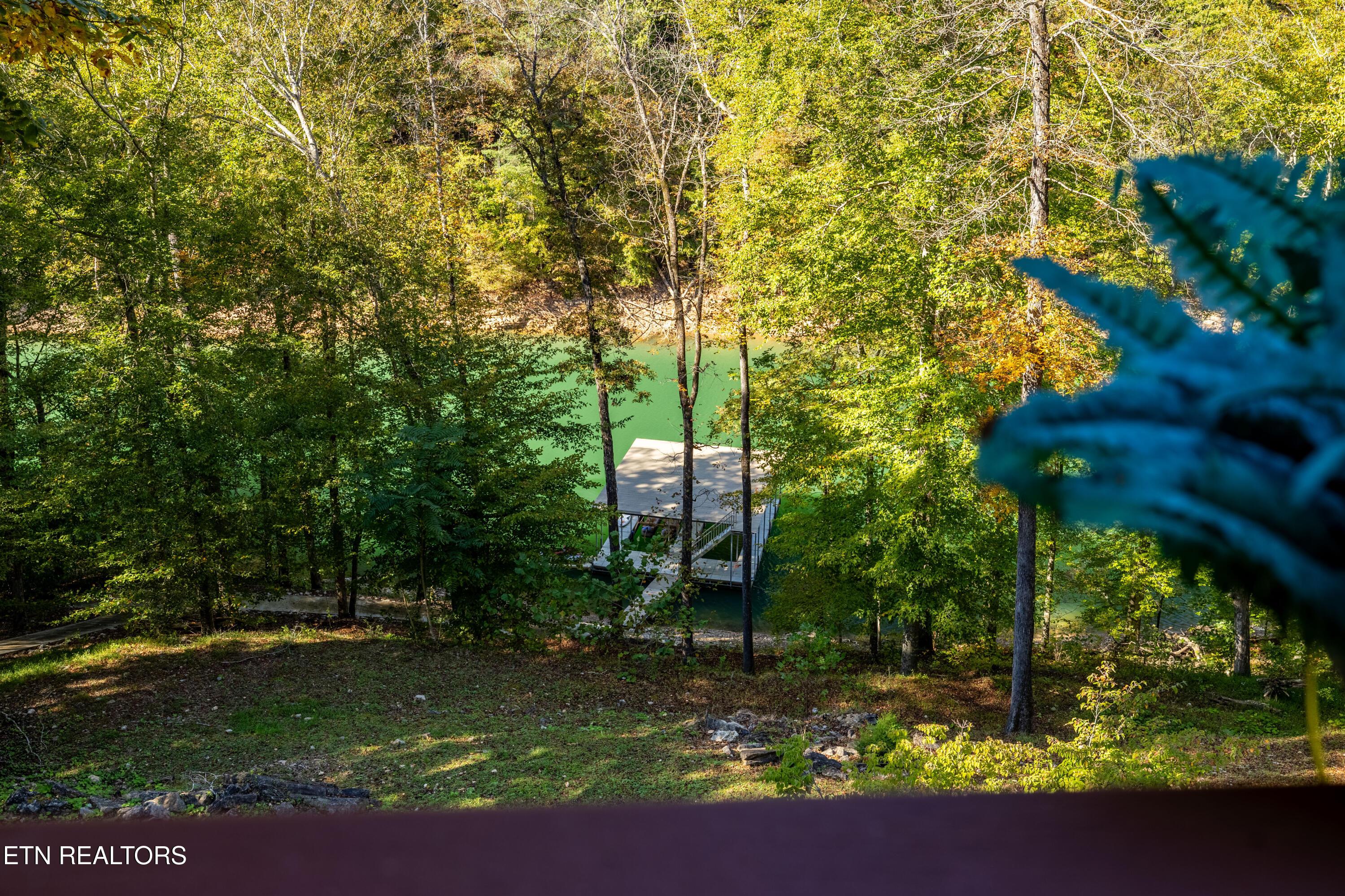 715 Landmark Rd, Jacksboro, TN - Norris Lake Real Estate - Image# 49