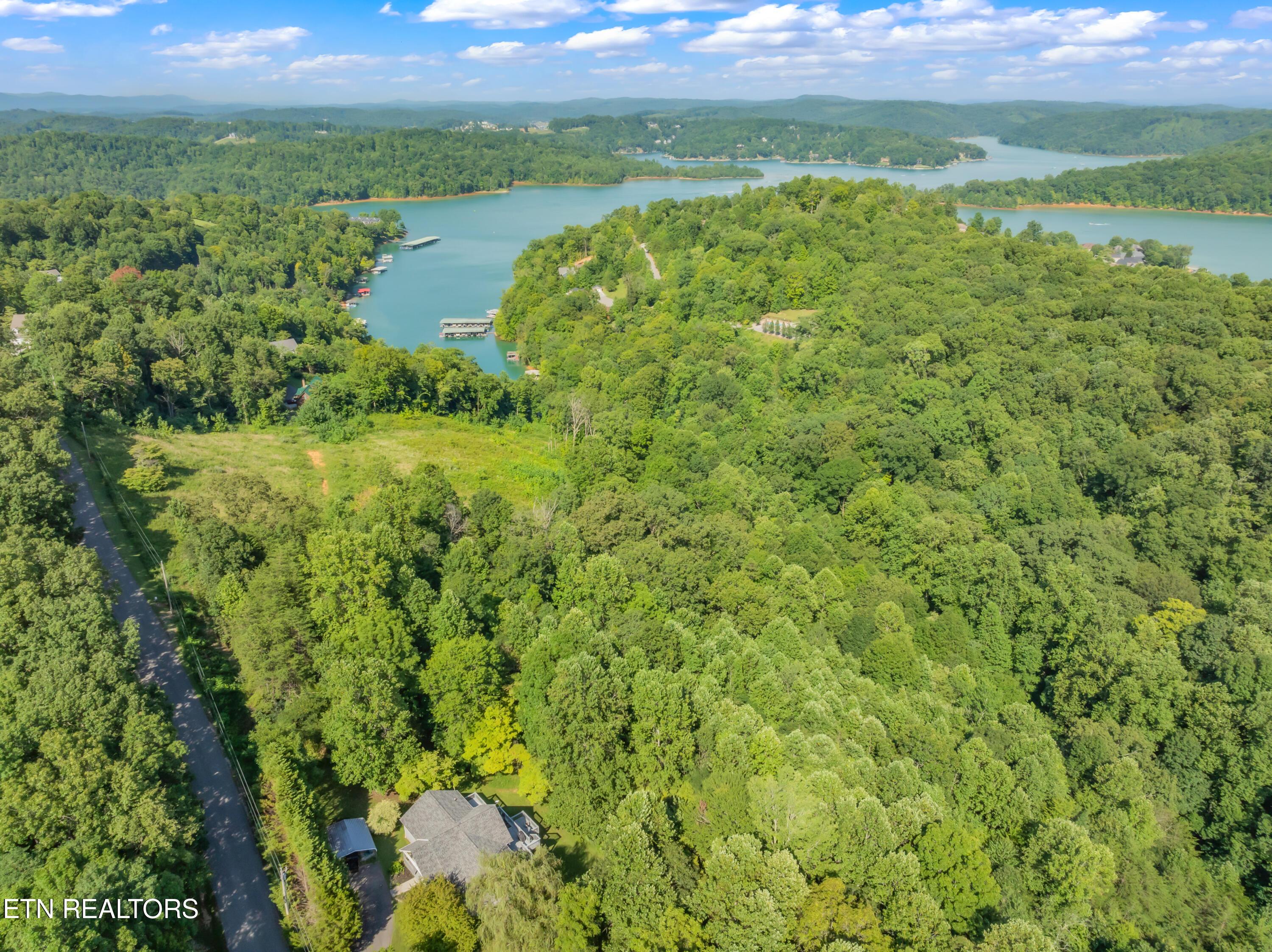 Norris Lake Real Estate - Image# 7