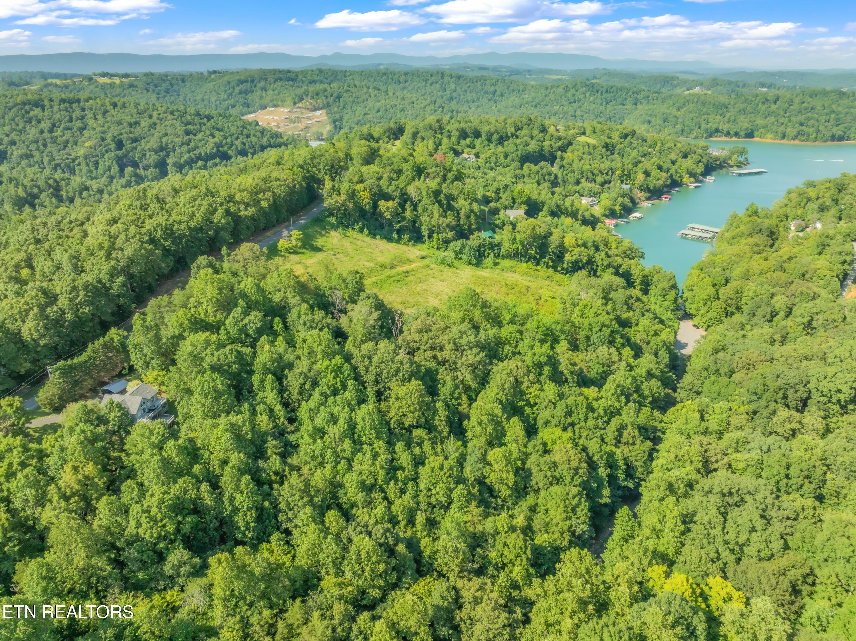 Norris Lake Real Estate - Image# 10