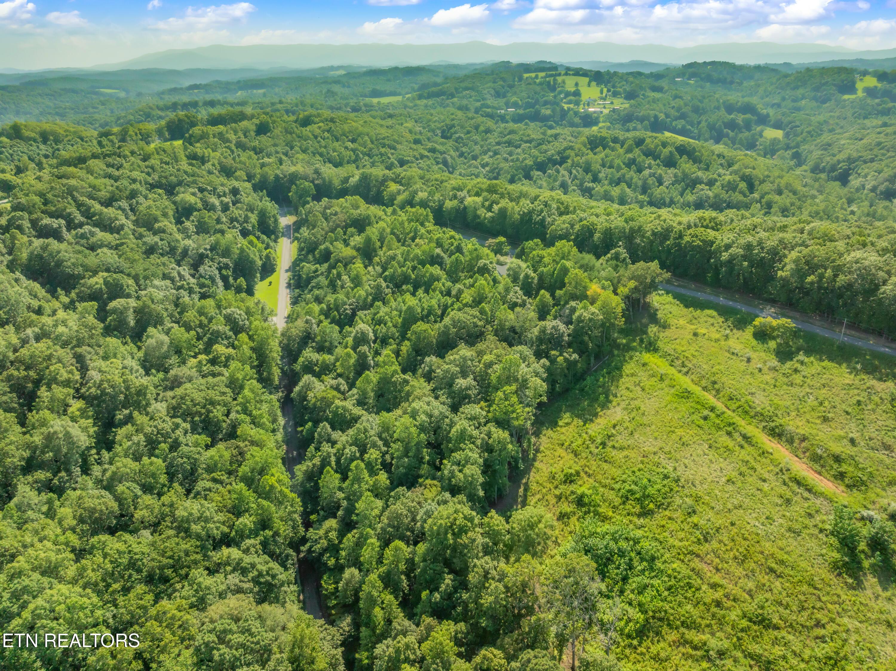 Norris Lake Real Estate - Image# 12