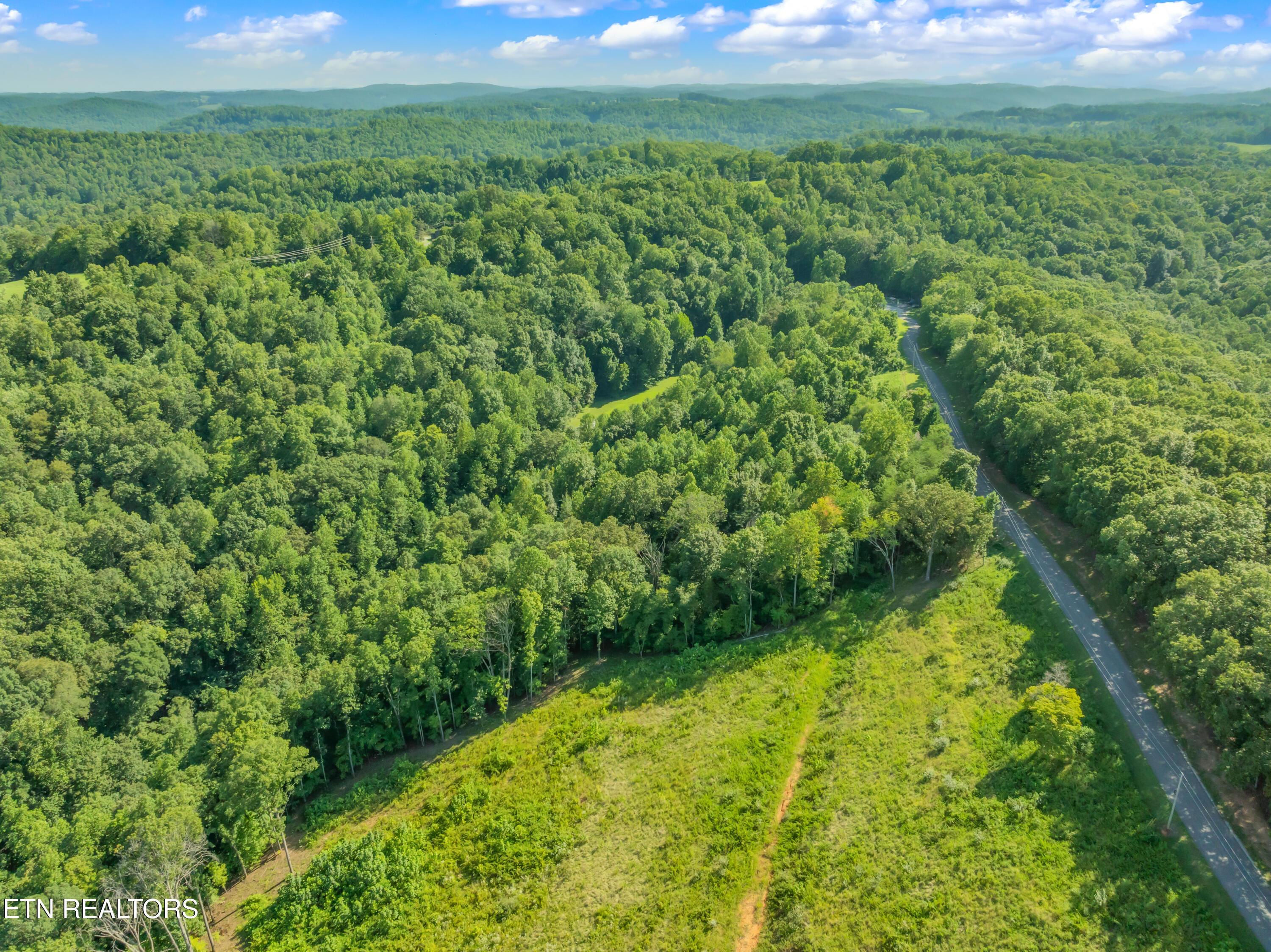 Norris Lake Real Estate - Image# 13