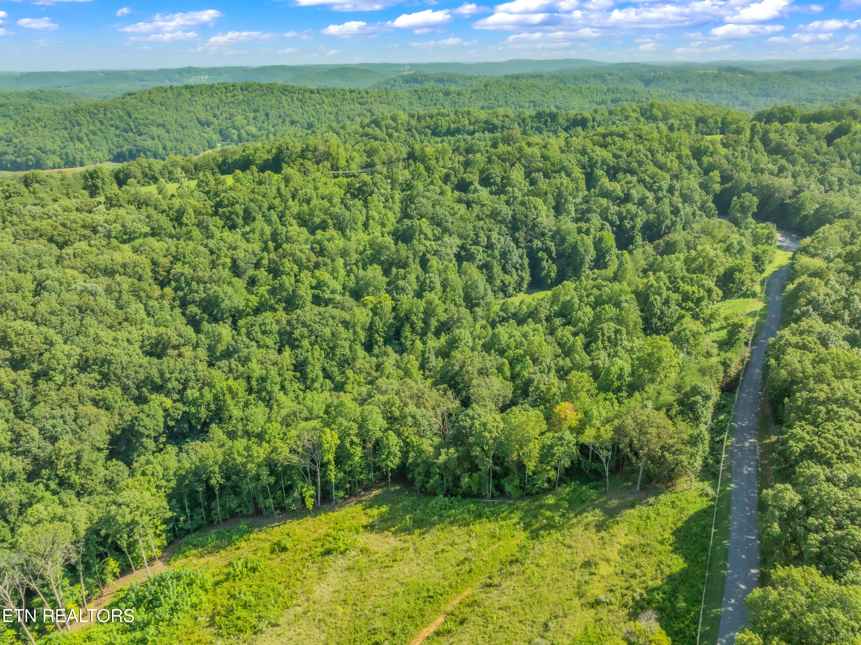 Norris Lake Real Estate - Image# 14