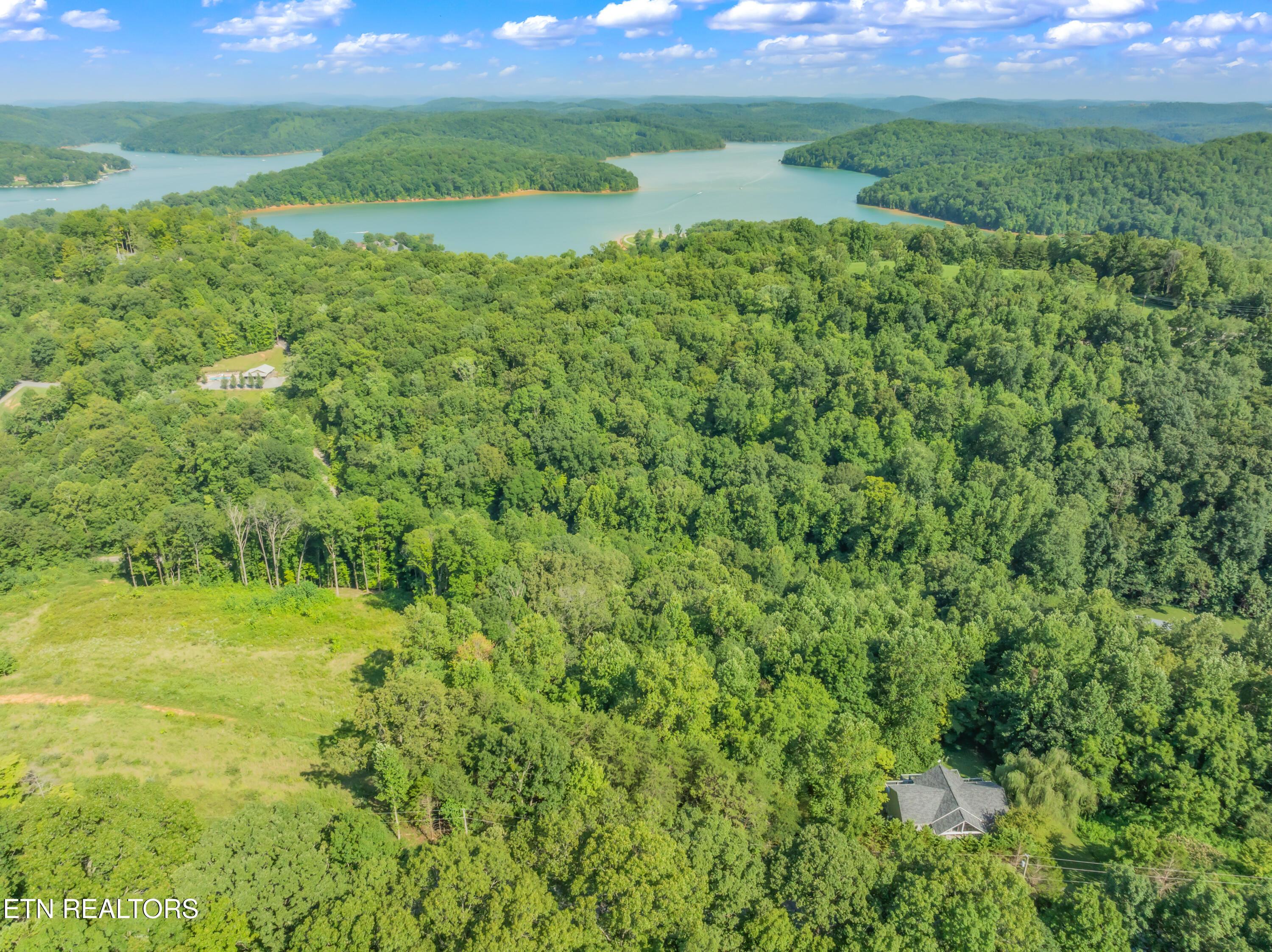 Norris Lake Real Estate - Image# 15