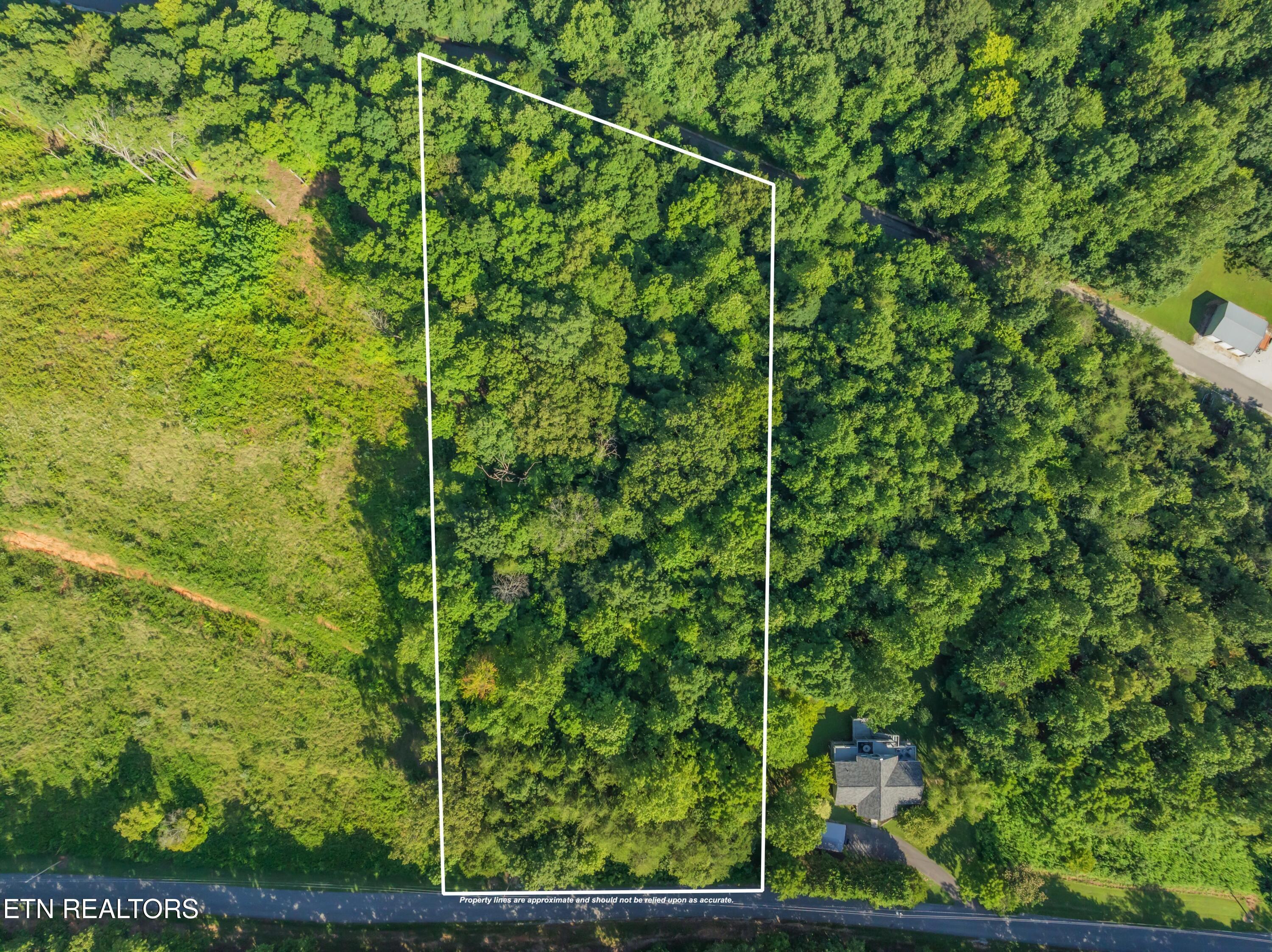 Norris Lake Real Estate - Image# 16