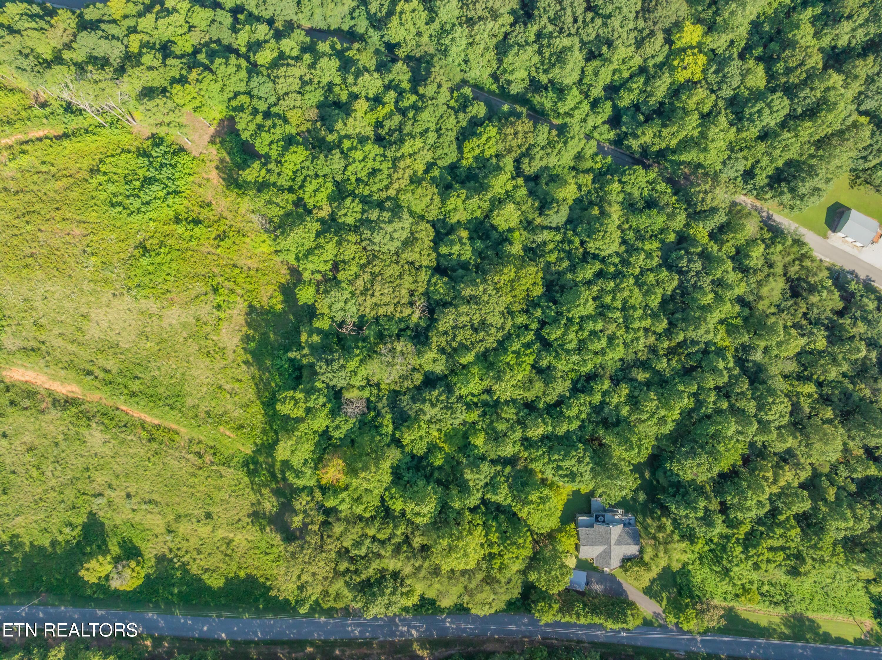 Norris Lake Real Estate - Image# 17