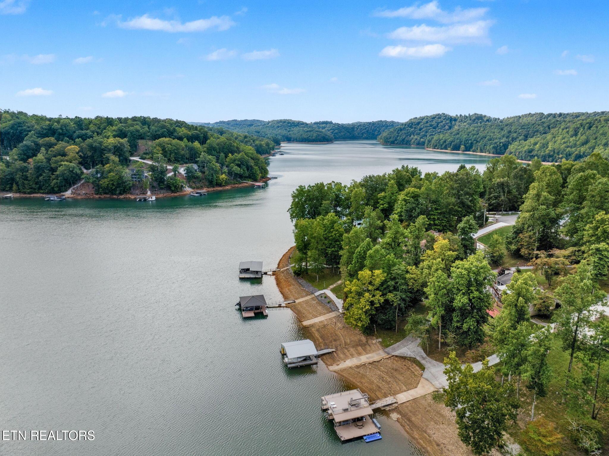 Norris Lake Real Estate - Image# 5