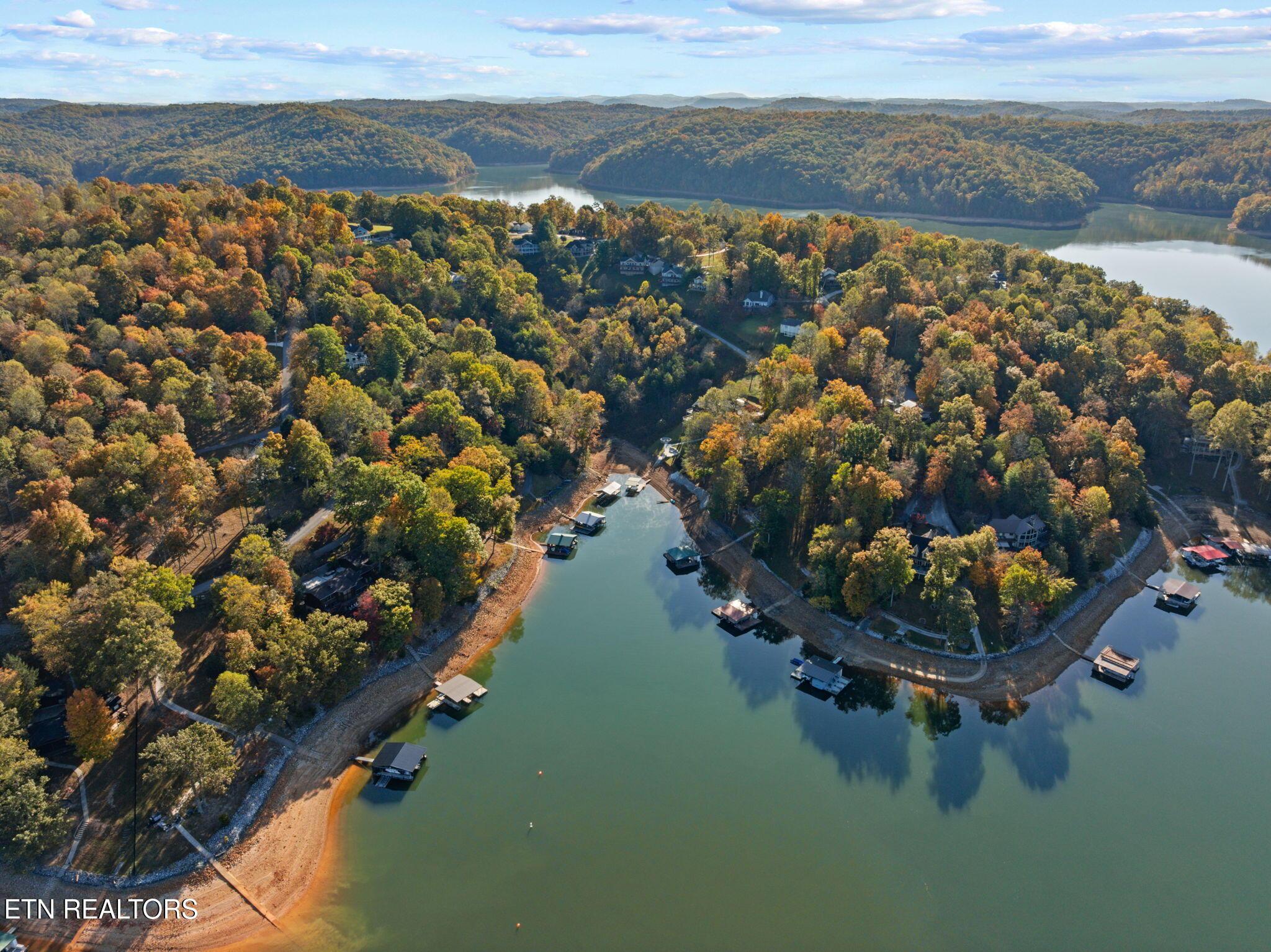Norris Lake Real Estate - Image# 49