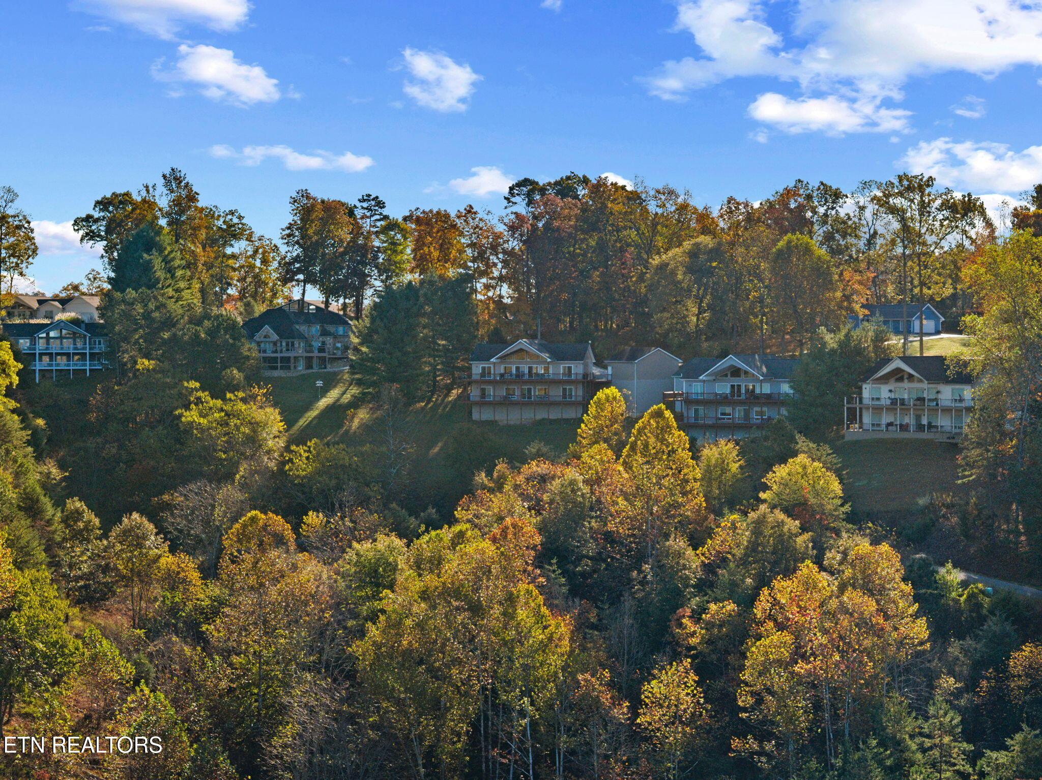 Norris Lake Real Estate - Image# 51
