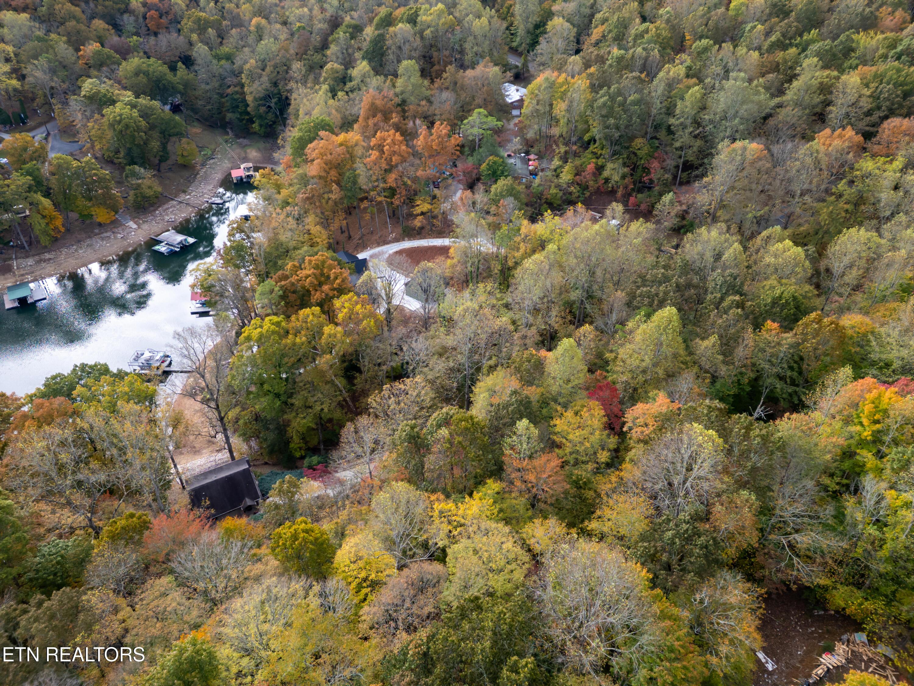 Engle Drive, Andersonville, TN - Norris Lake Real Estate - Image# 9