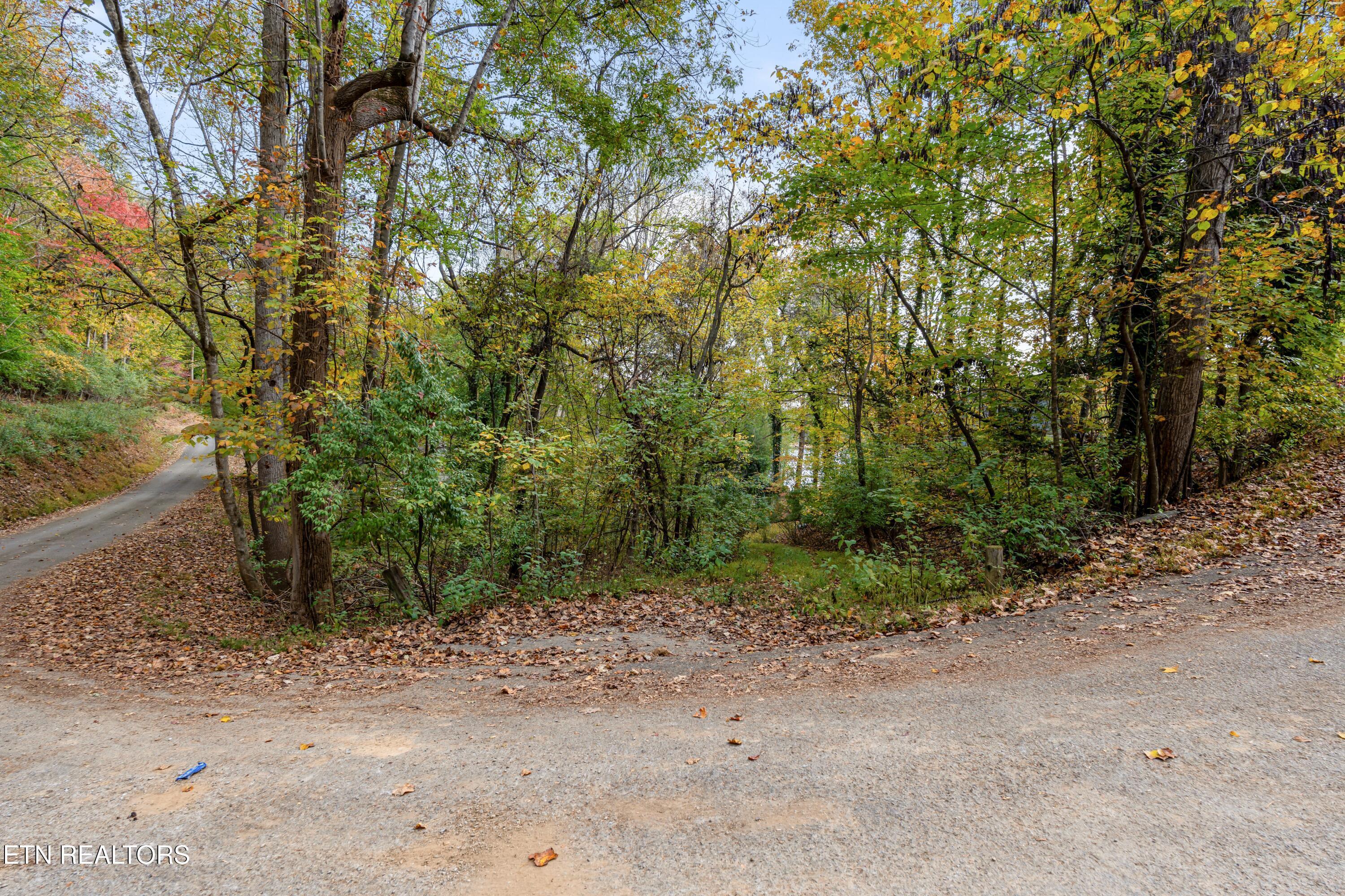 Engle Drive, Andersonville, TN - Norris Lake Real Estate - Image# 2