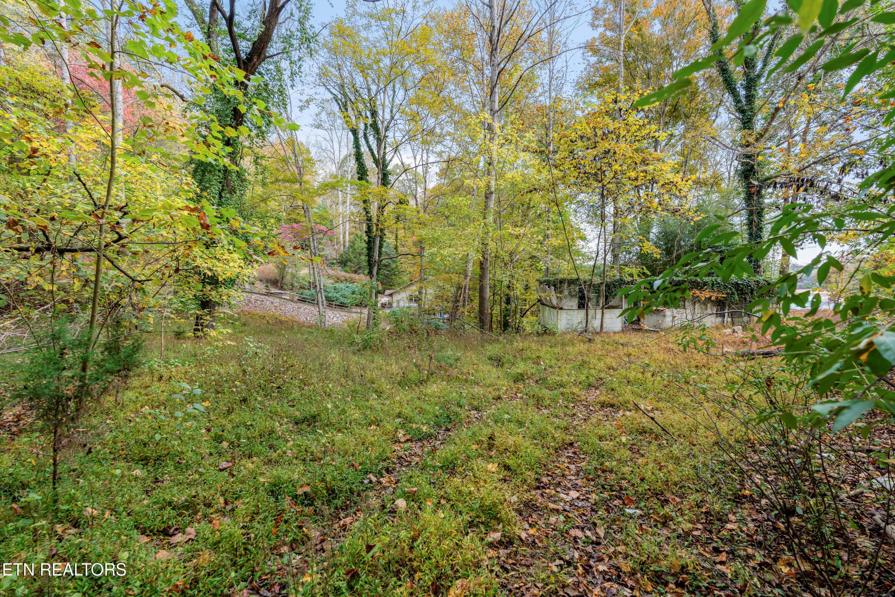 Engle Drive, Andersonville, TN - Norris Lake Real Estate - Image# 3