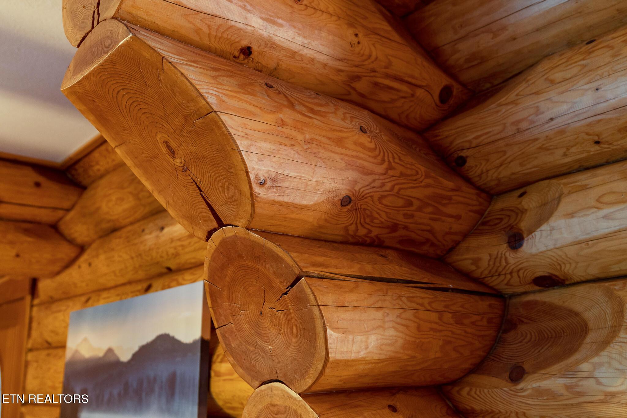 546 Bluff View Rd, New Tazewell, TN - Norris Lake Real Estate - Image# 24