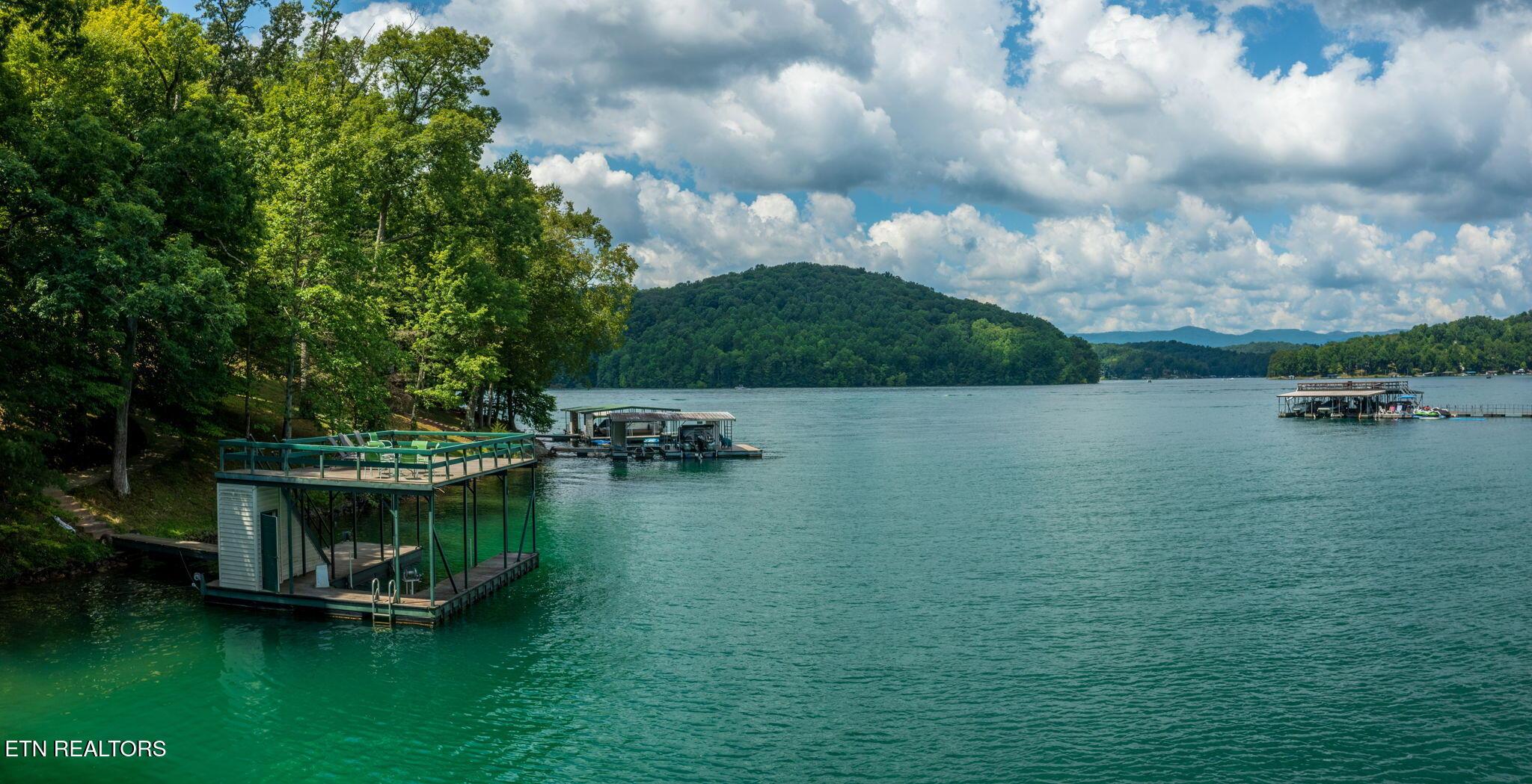 Norris Lake Real Estate - Image# 4