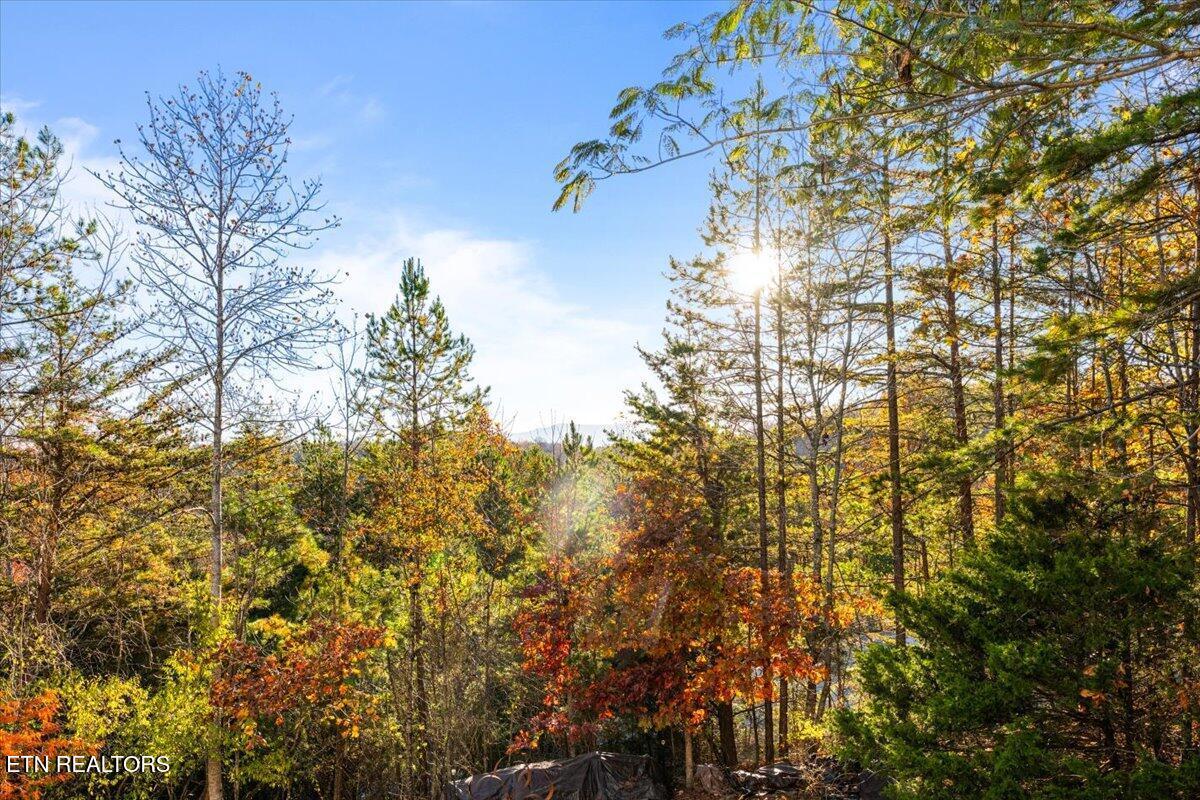 Norris Lake Real Estate - Image# 2