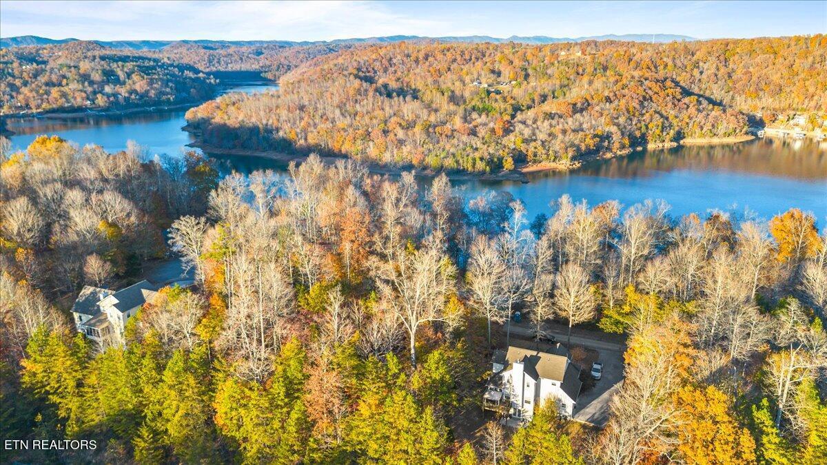 Norris Lake Real Estate - Image# 54