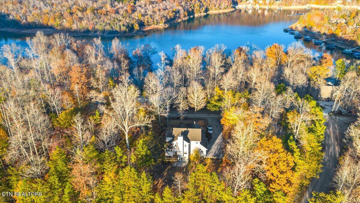 Norris Lake Real Estate - Image# 3