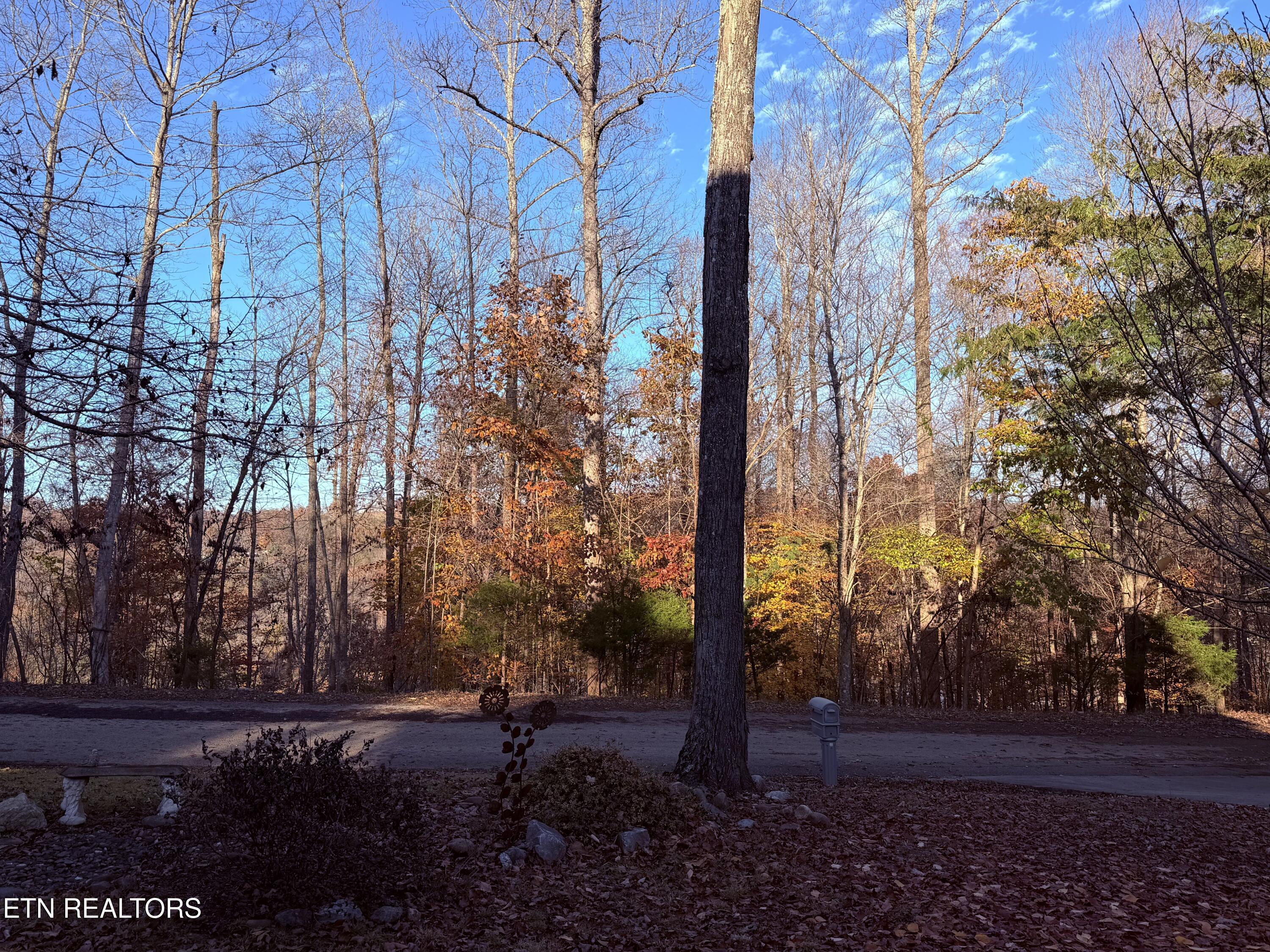 Norris Lake Real Estate - Image# 58