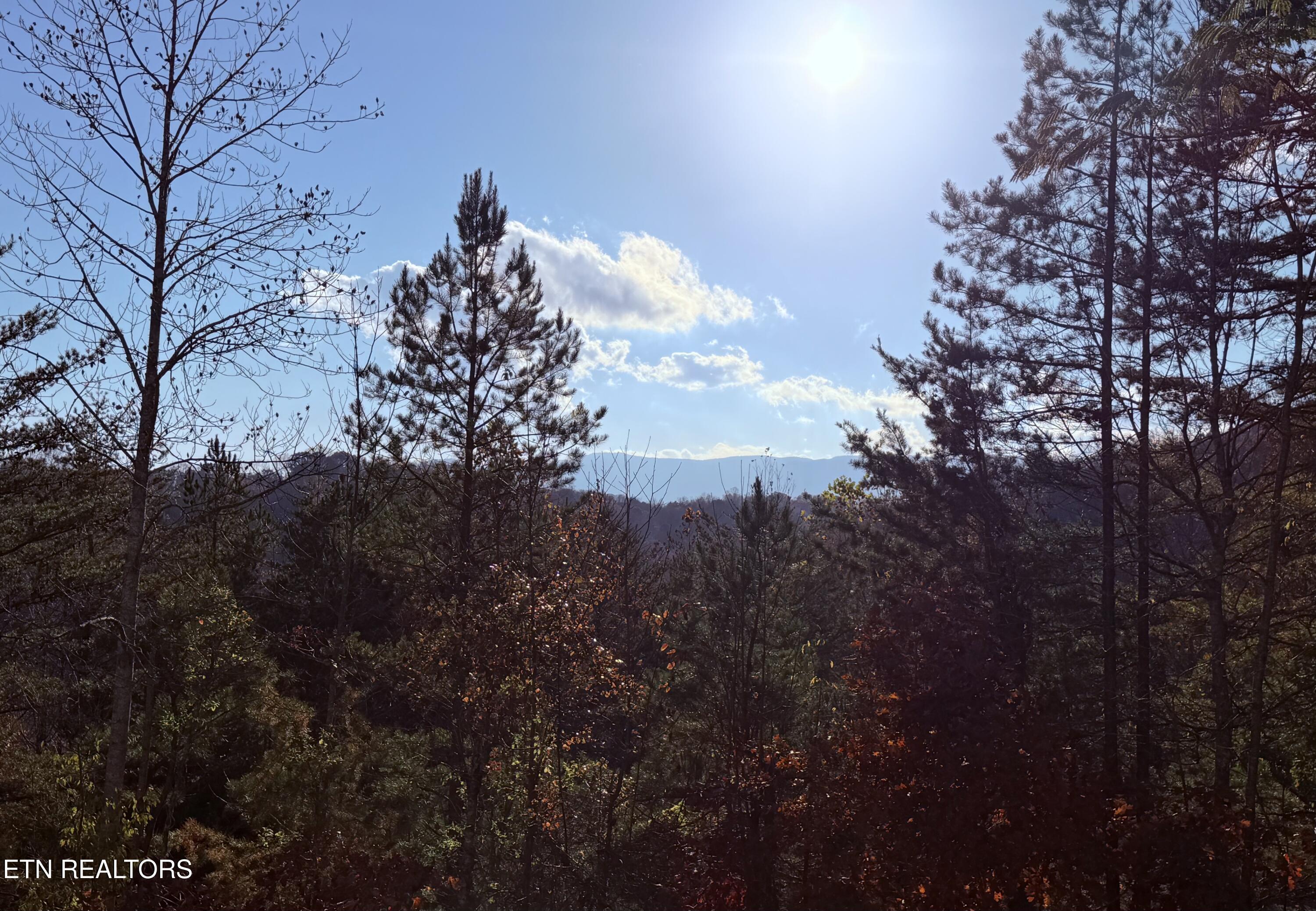 Norris Lake Real Estate - Image# 59