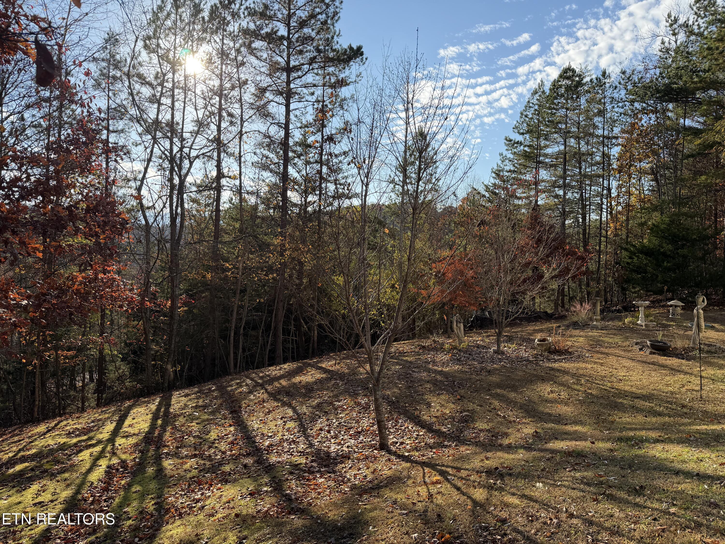 Norris Lake Real Estate - Image# 60